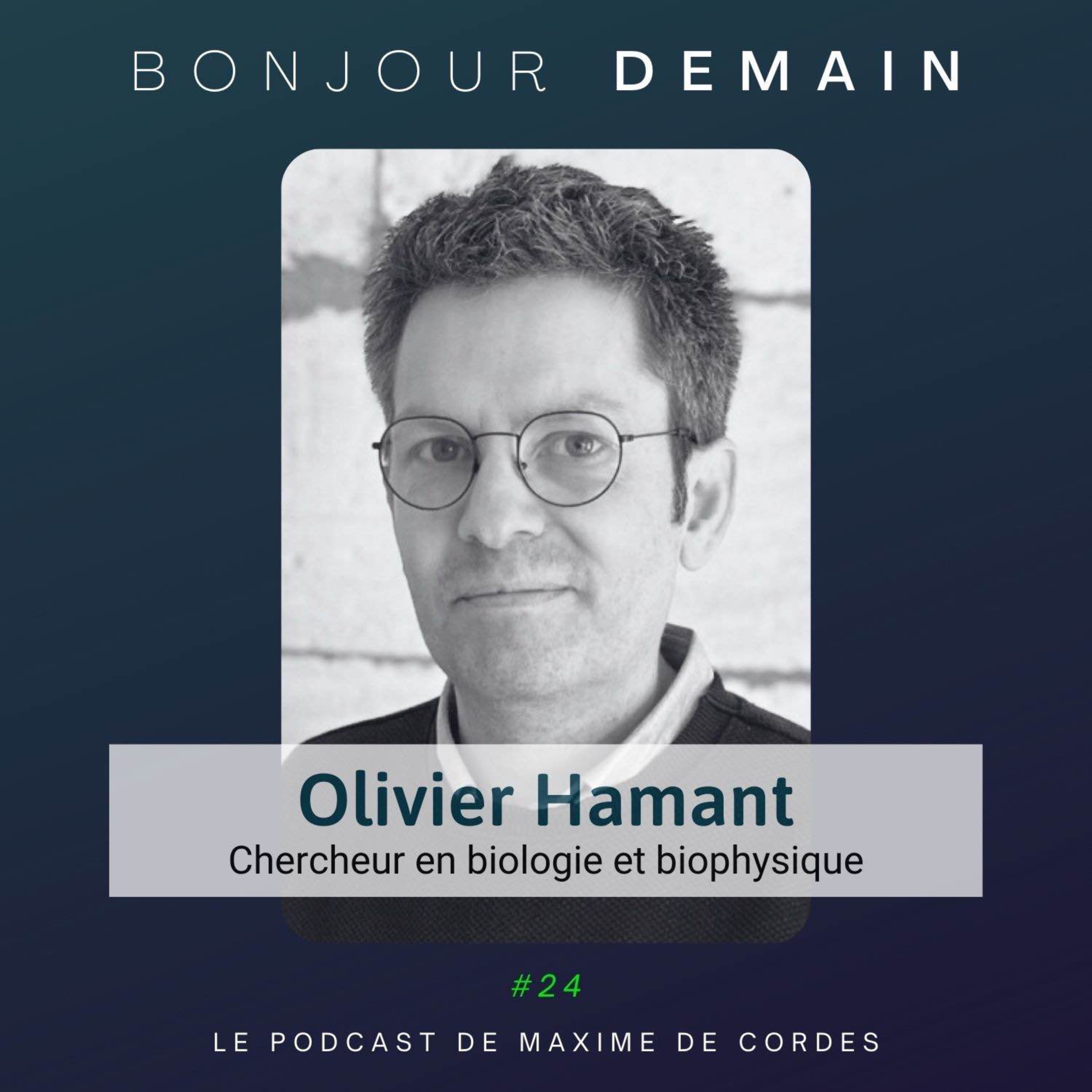 Bonjour Demain