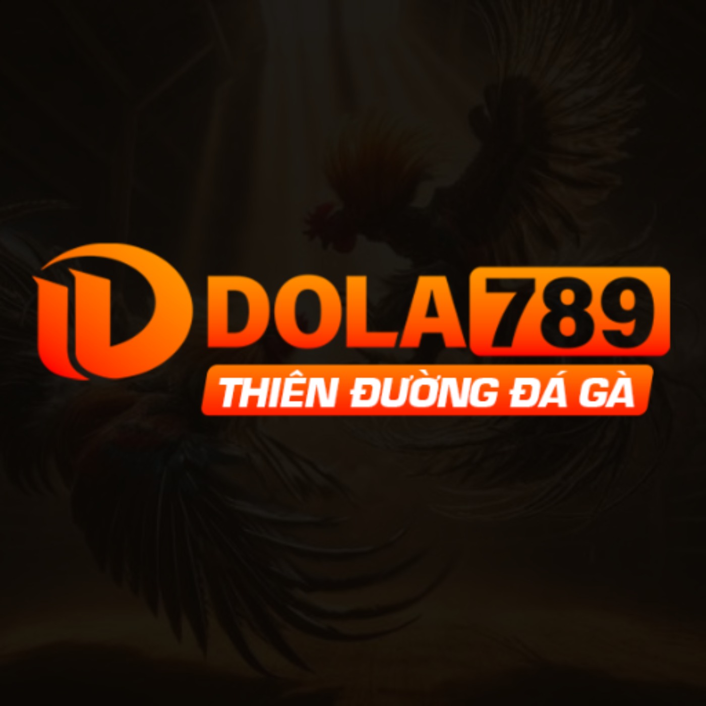 Nhà Cái DOLA789