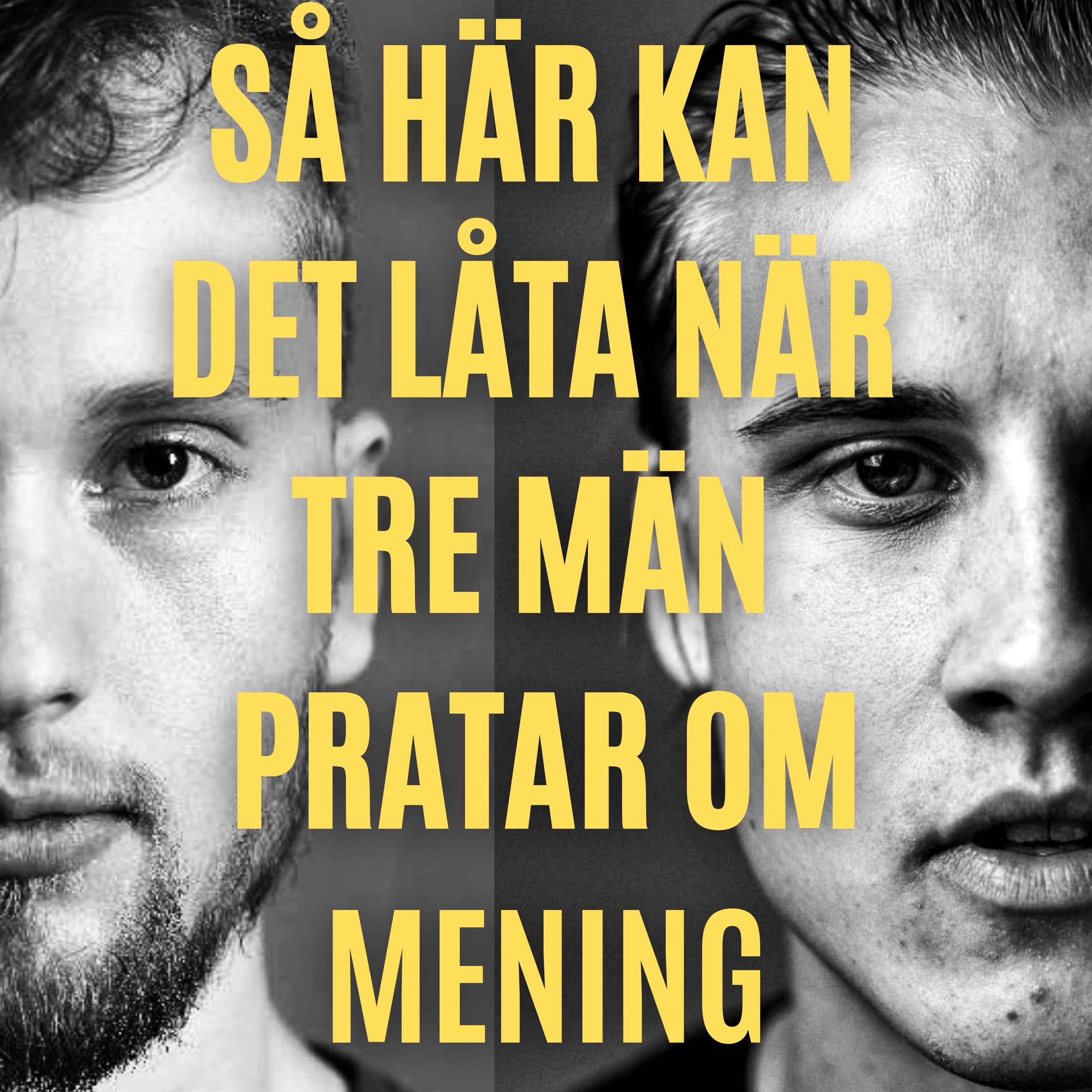 Mansgruppen