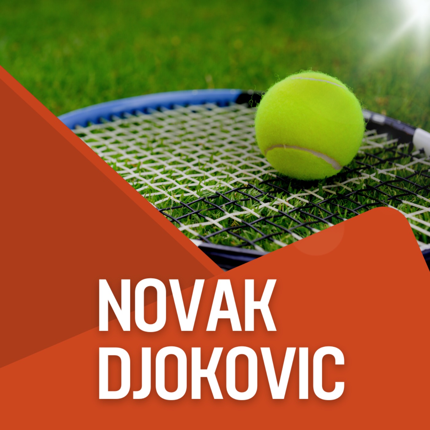 cover art for Novak Djokovic Wins his 90th ATP Title 