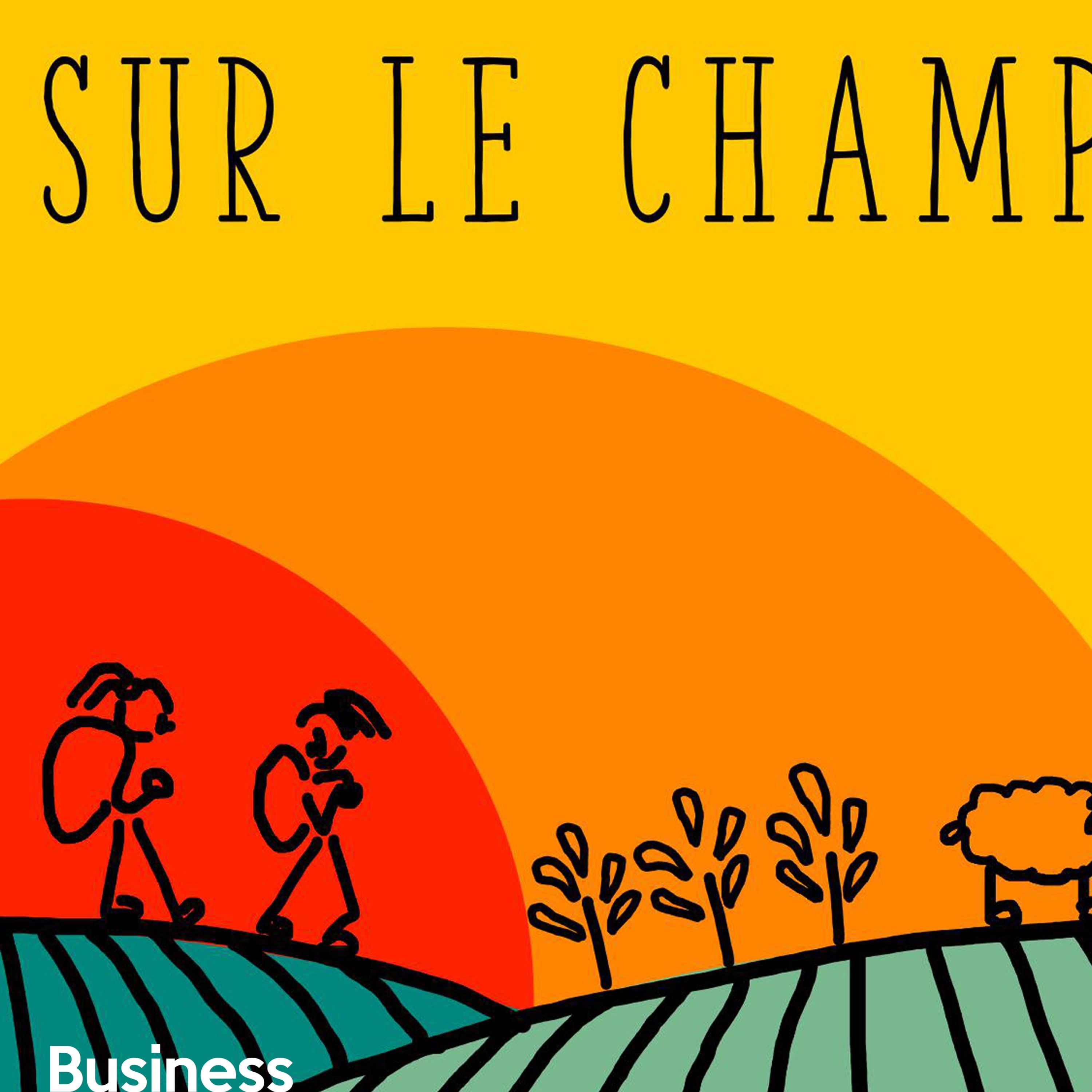Sur le Champ #11 | La rétro - innovation en transhumance | Olivier et Floé - Bergerie de Coucourde.