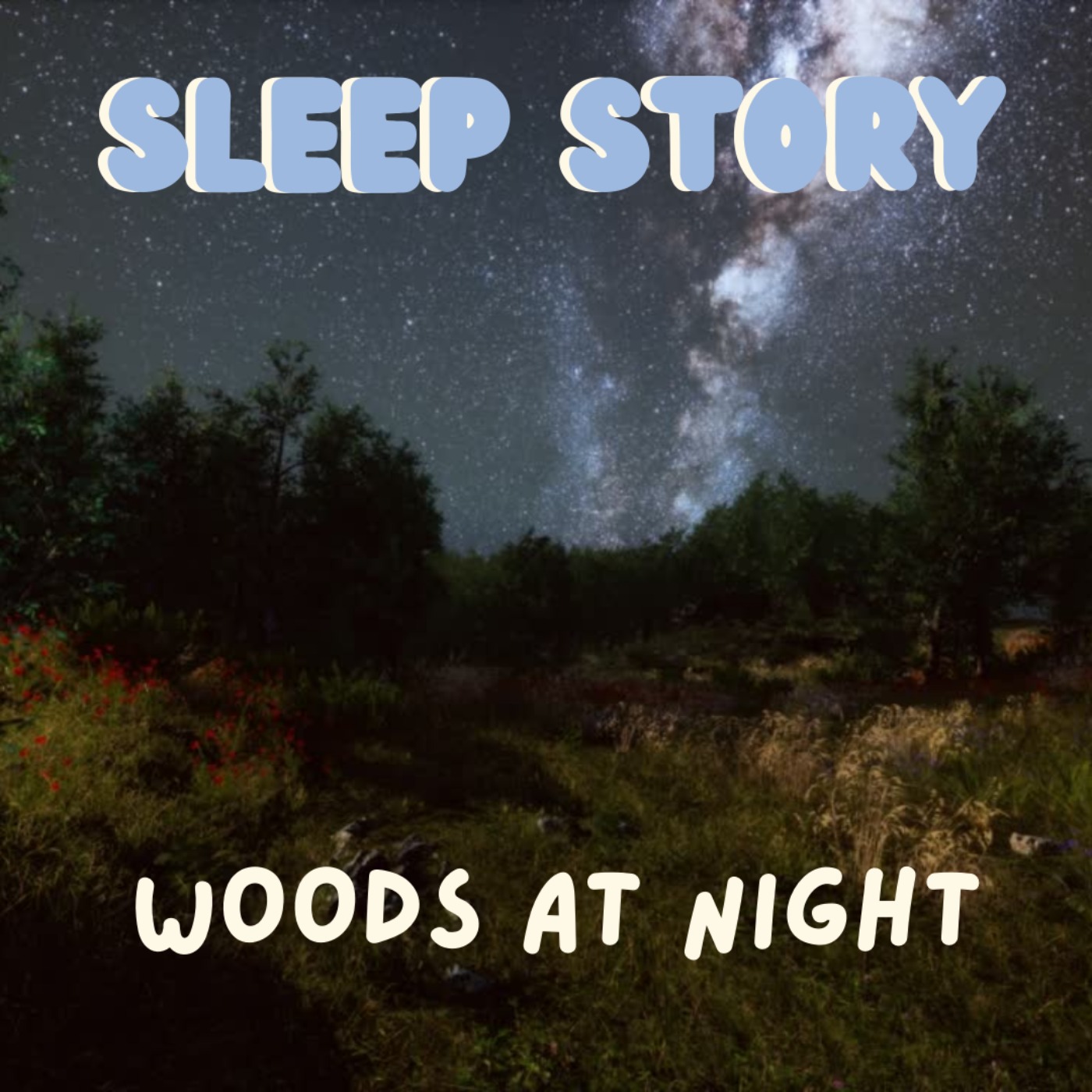 Fall Asleep To An Adventure In The Woods At Night - Sleep Story episode artwork