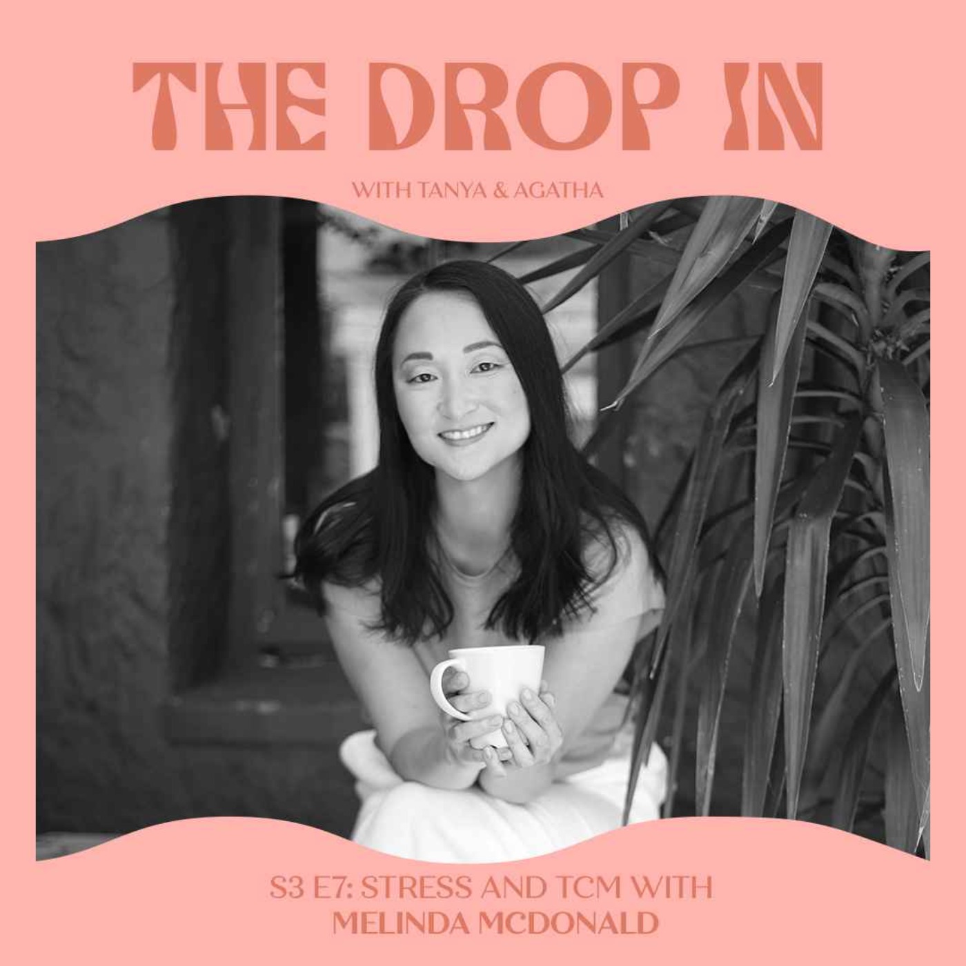The Drop In