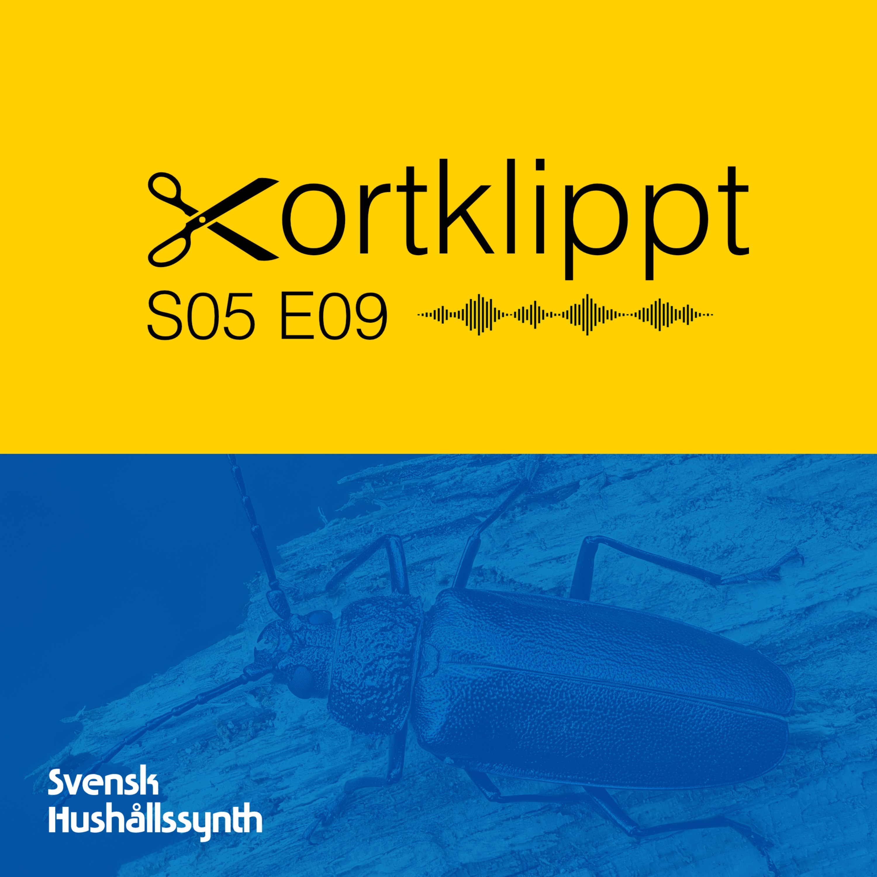 #98 Esoteriska synthar och syntetiska Klavertramp episode artwork