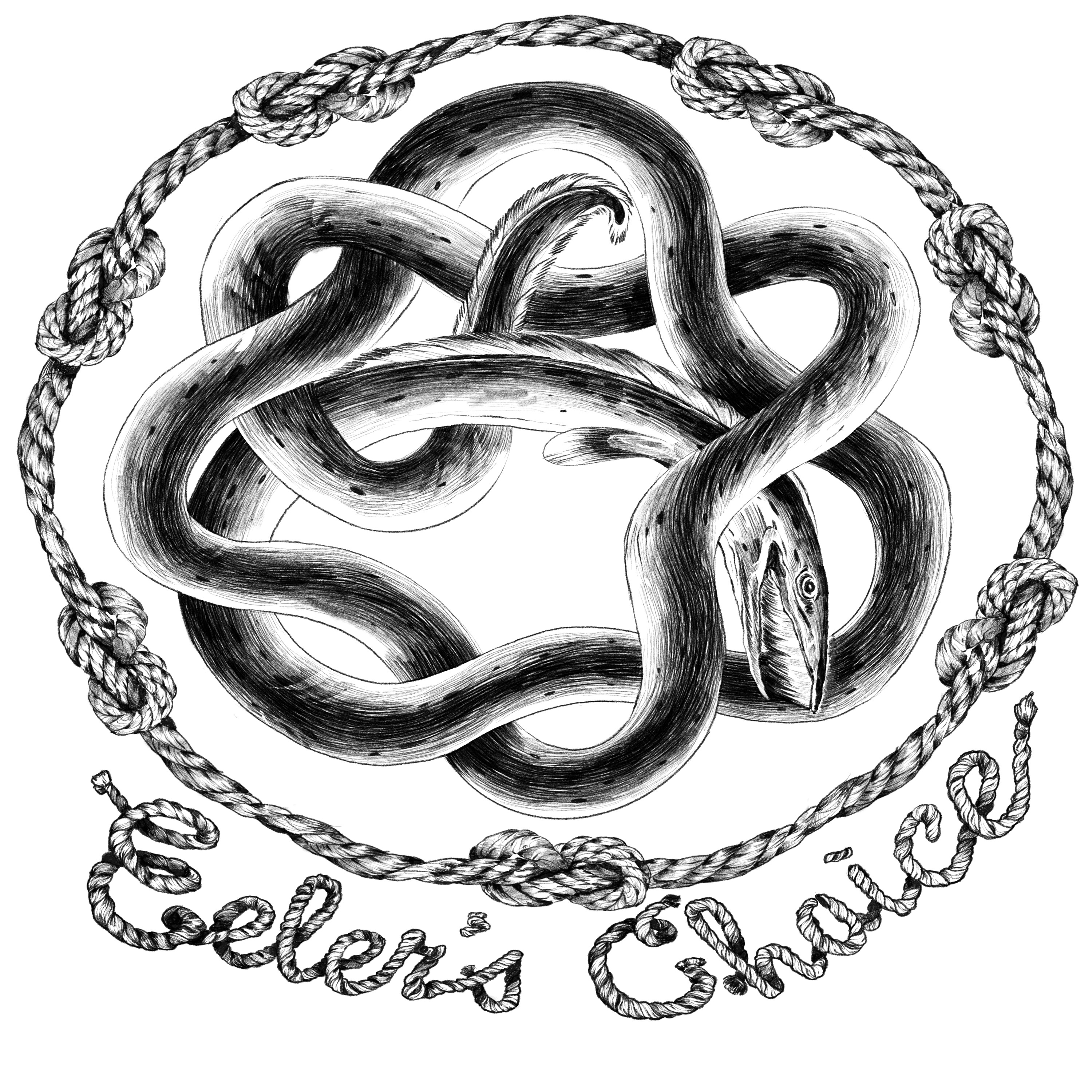 Feed Drop - Eeler's Choice Season 2 Trailer!