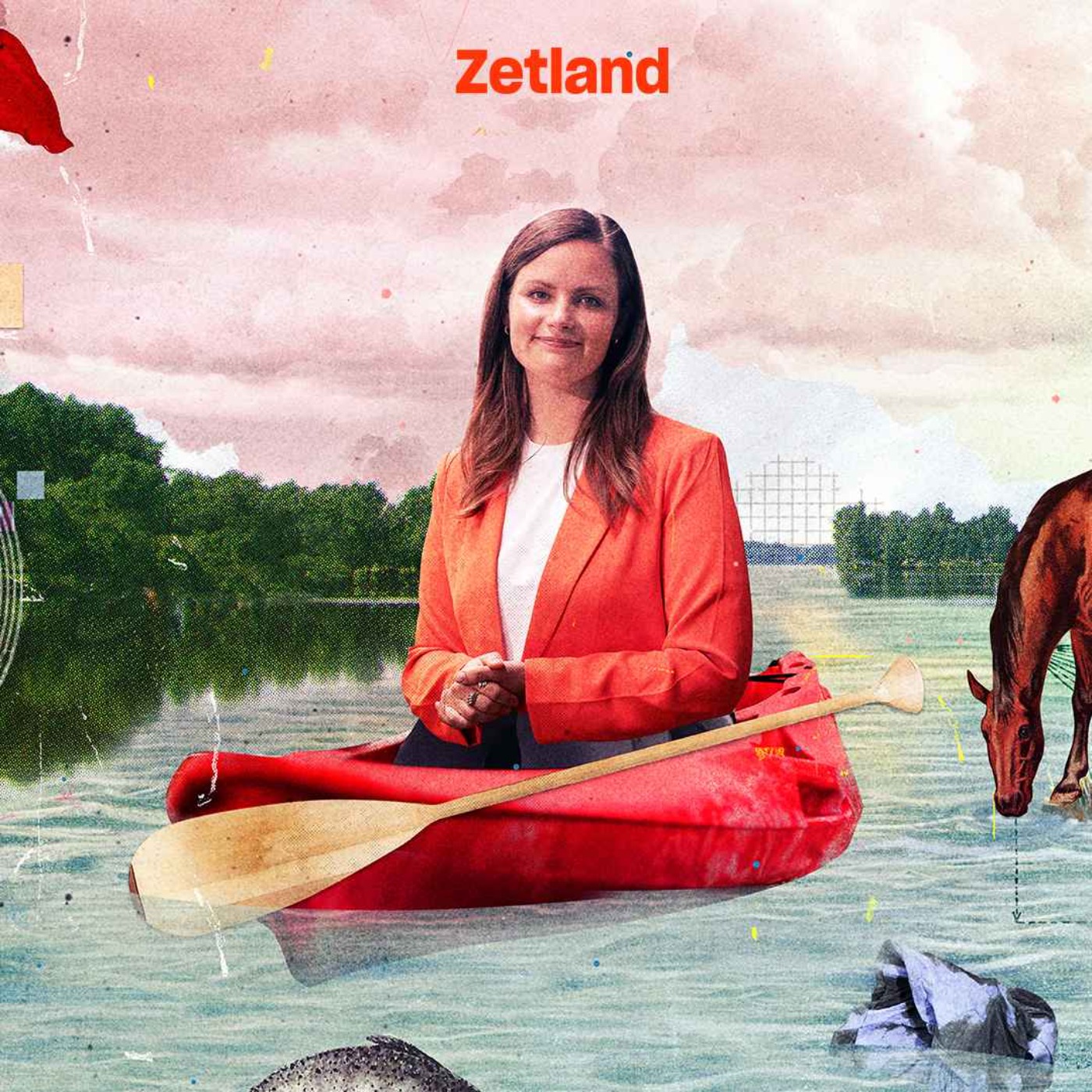 Hvis jeg bestemte ...