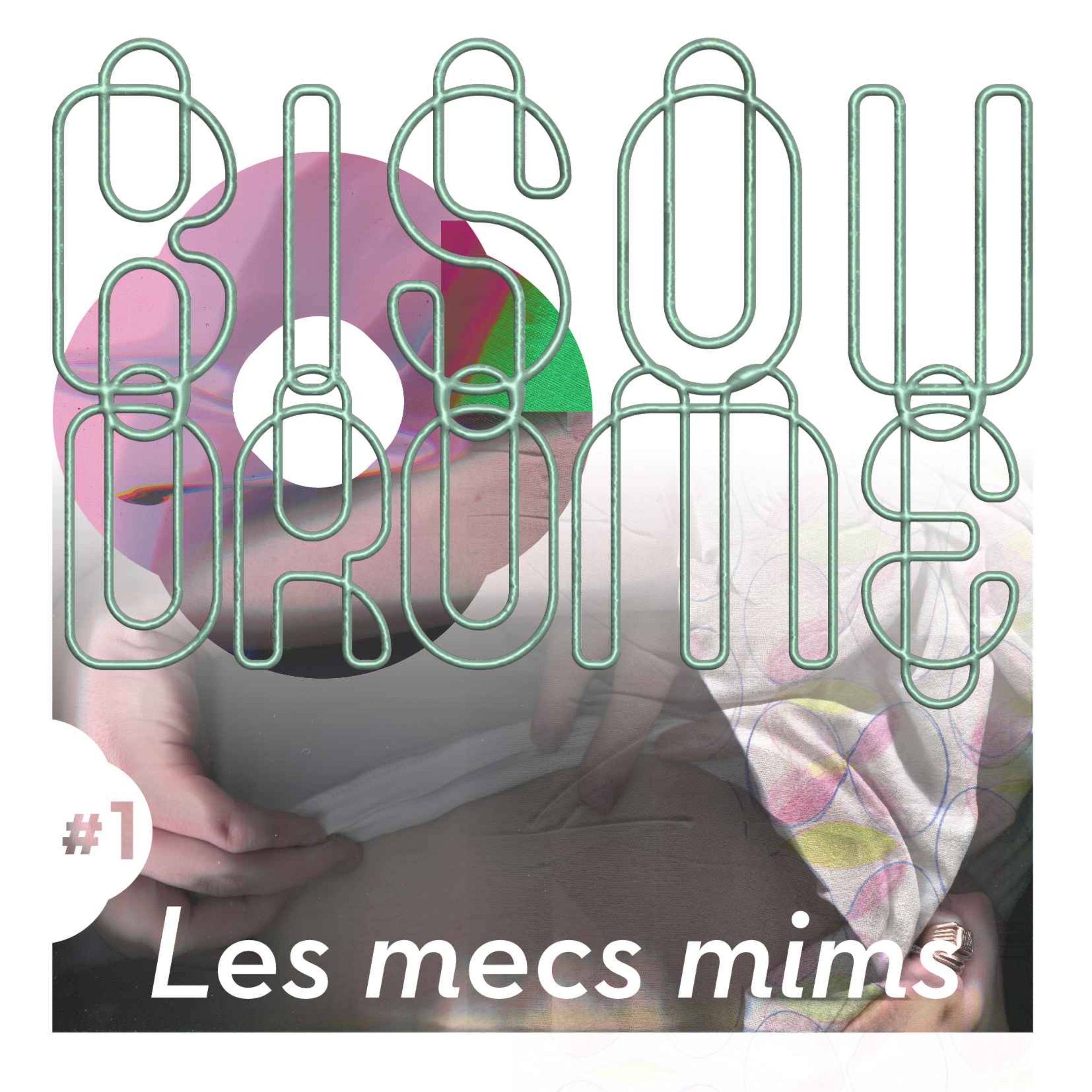 Le Bisoudrome
