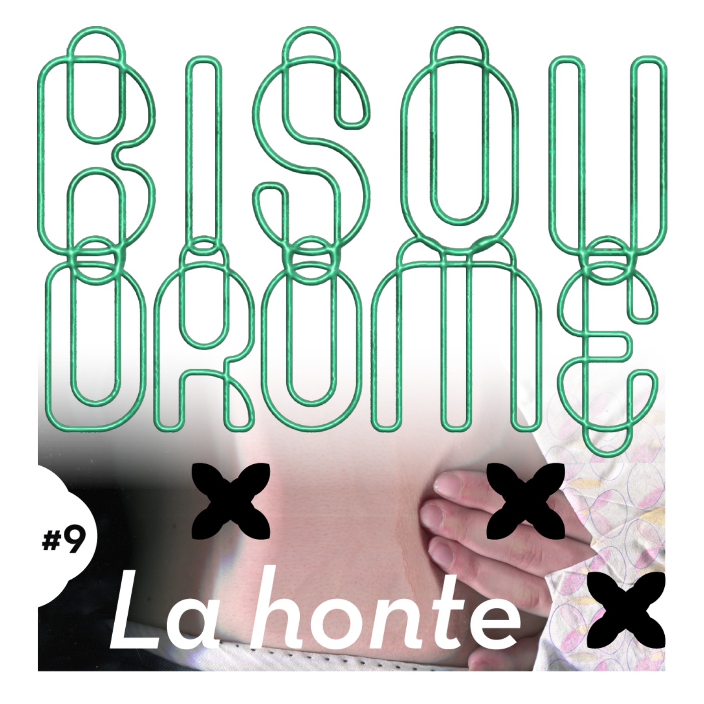 Le Bisoudrome