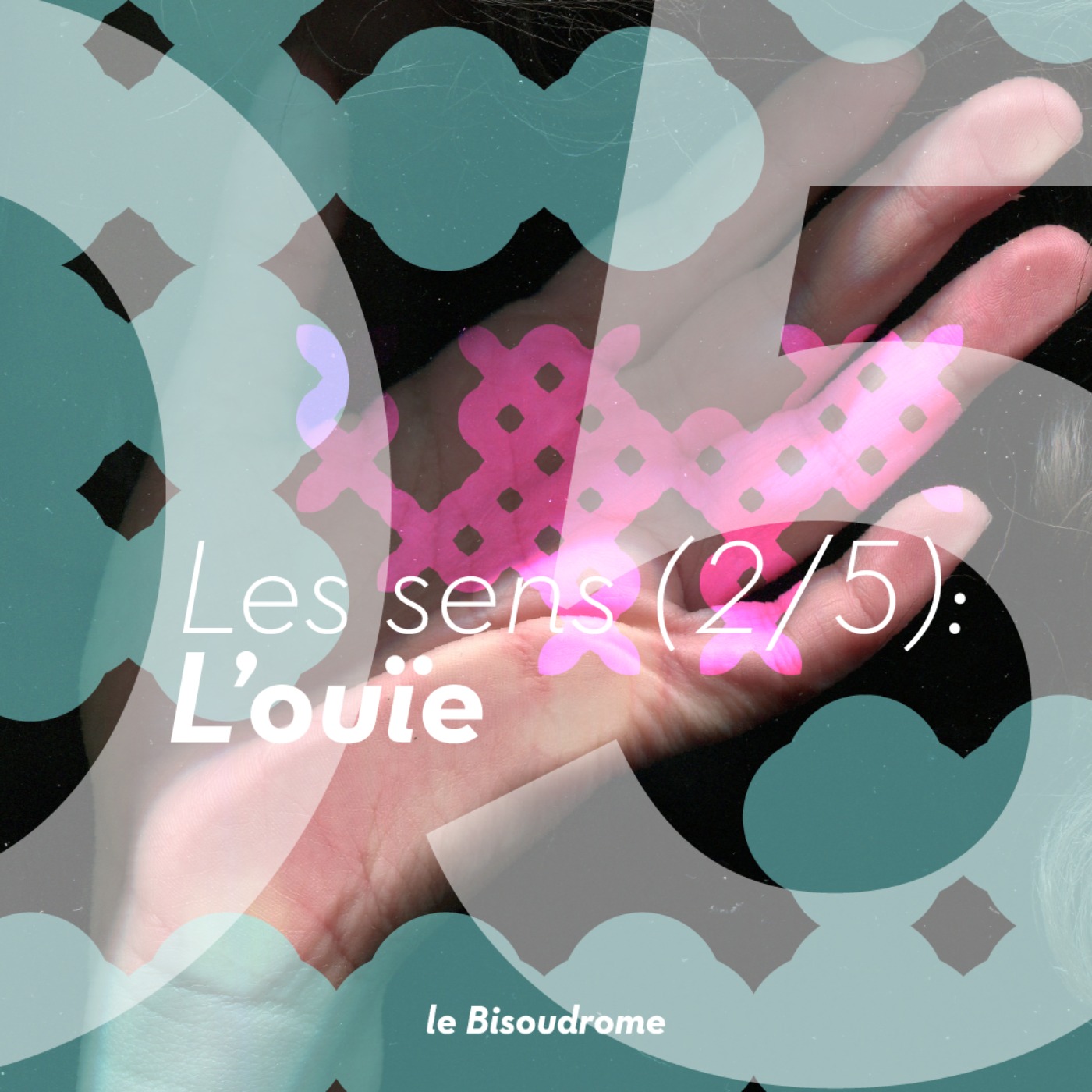 Le Bisoudrome