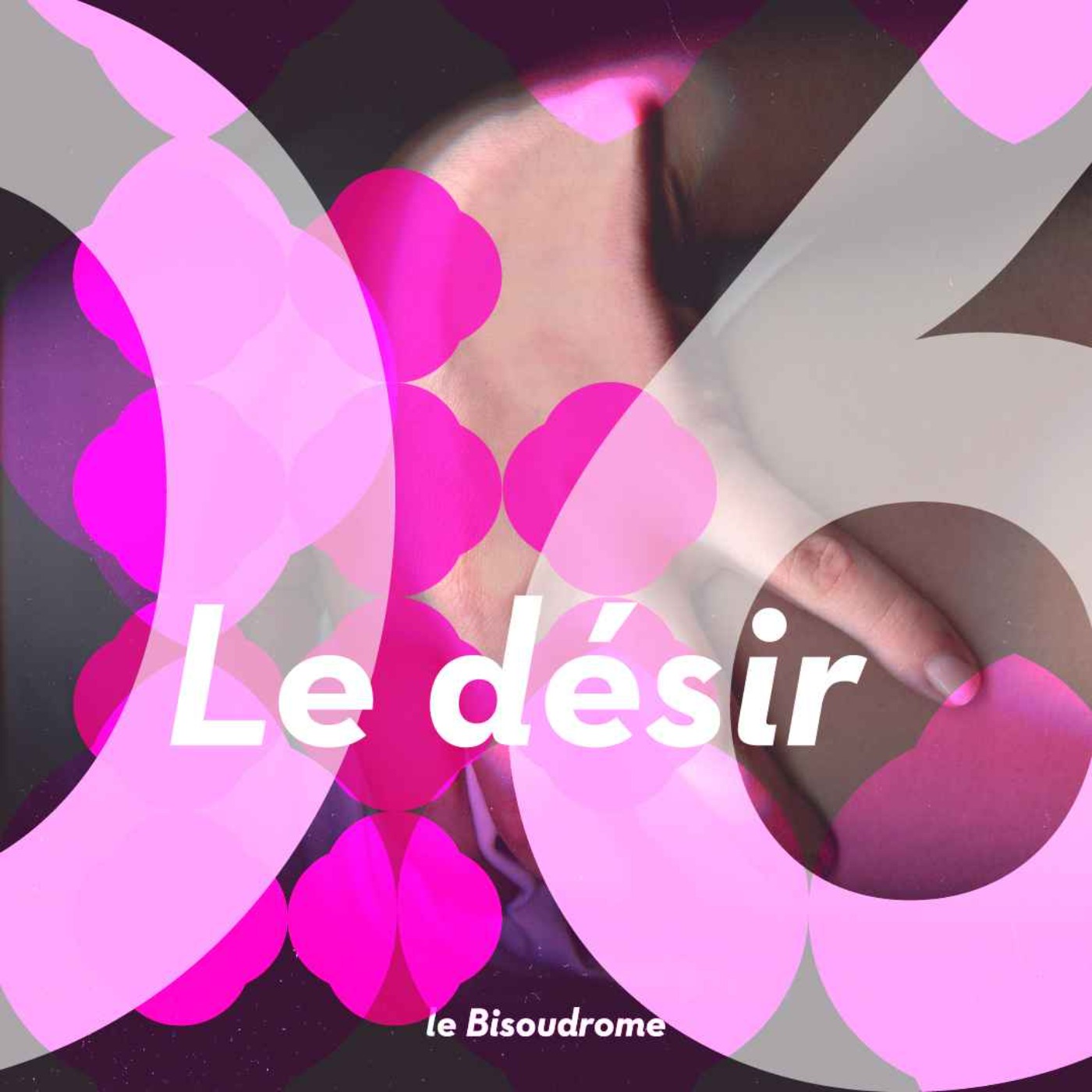 Le Bisoudrome