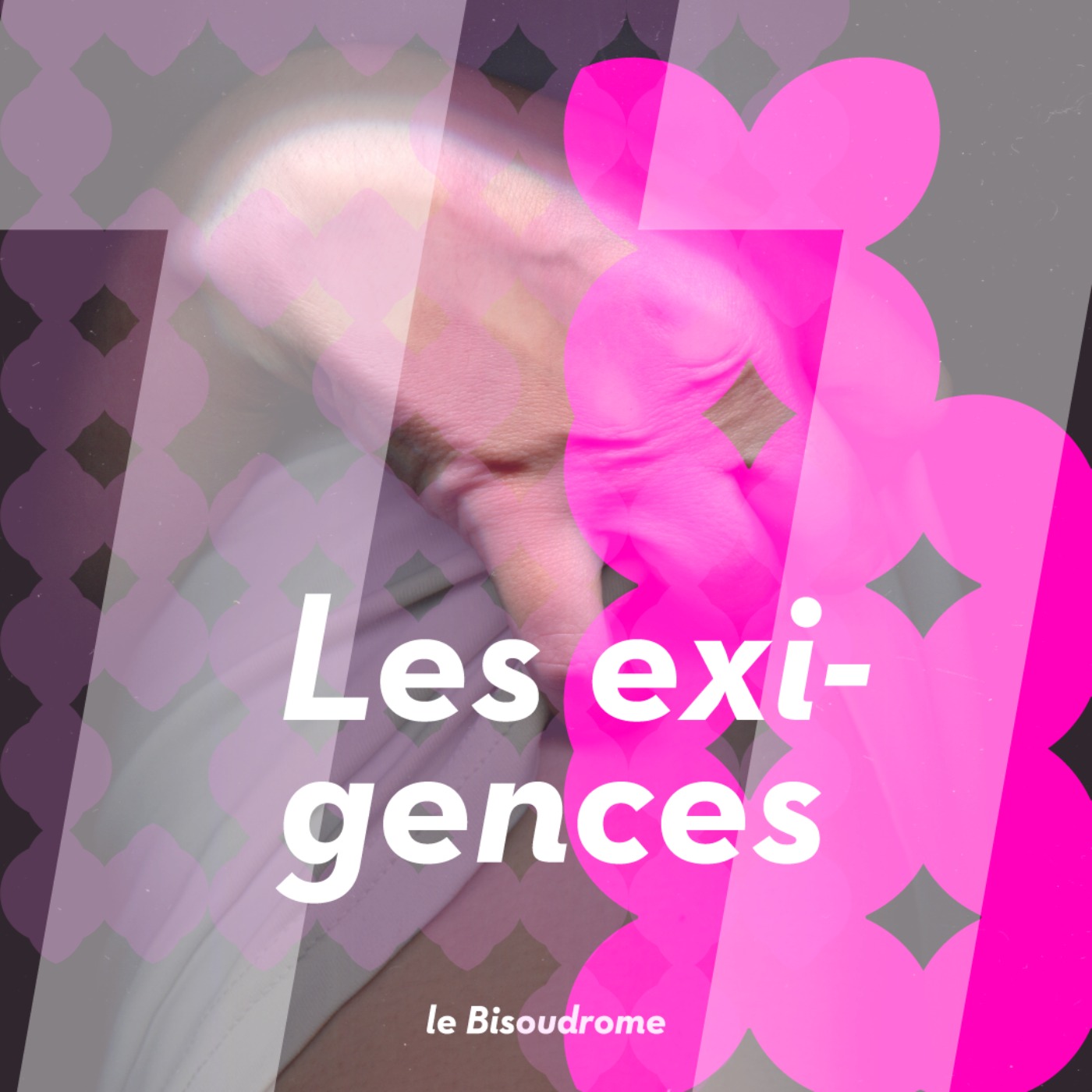 Le Bisoudrome