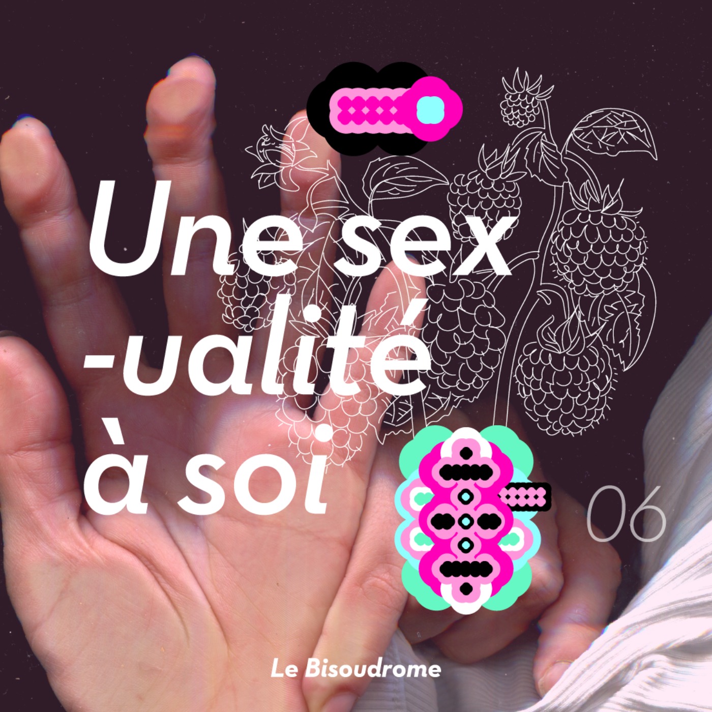 Le Bisoudrome