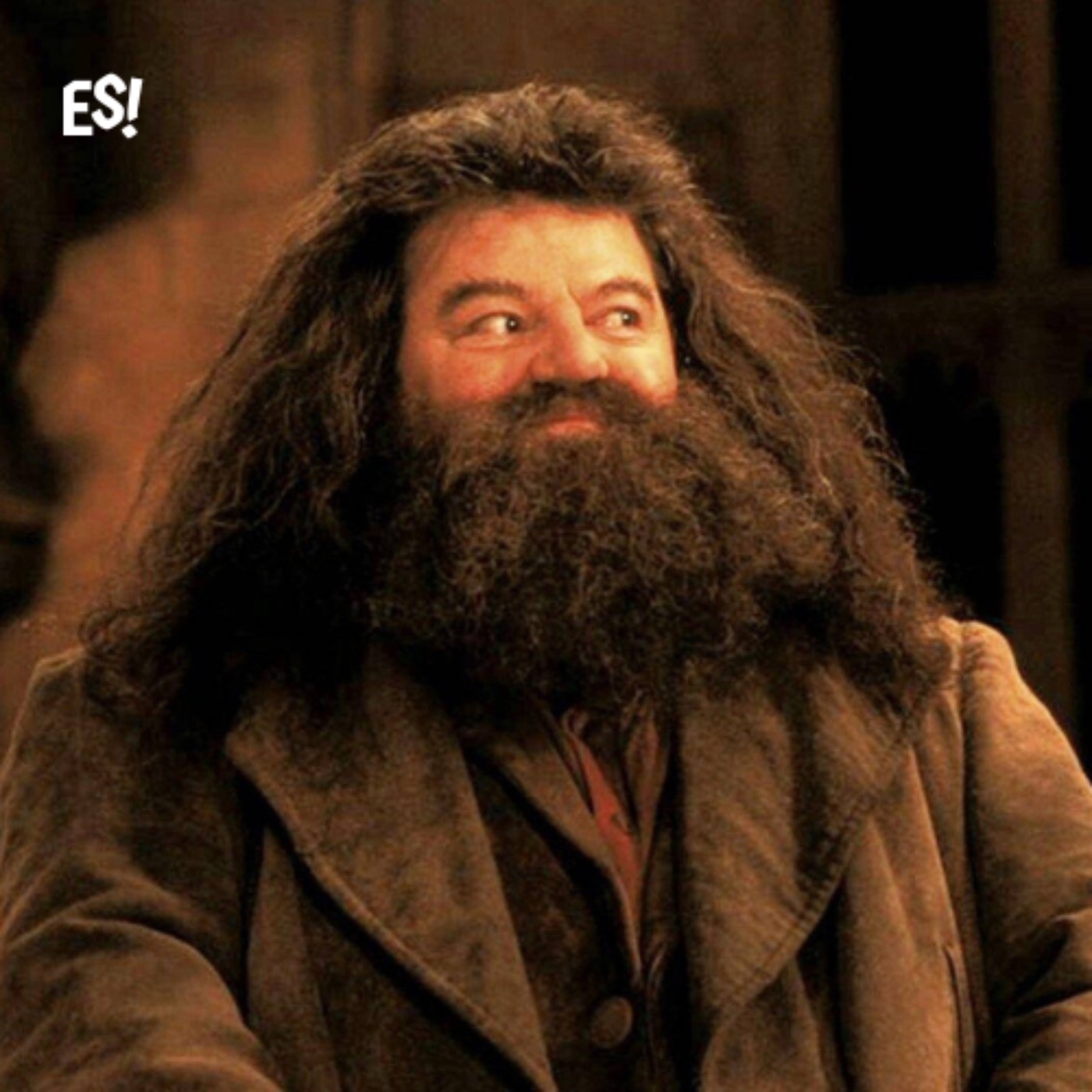 EL LADRÓN DE LAS CALCETAS | Harry Potter Saga | EP 02 episode artwork