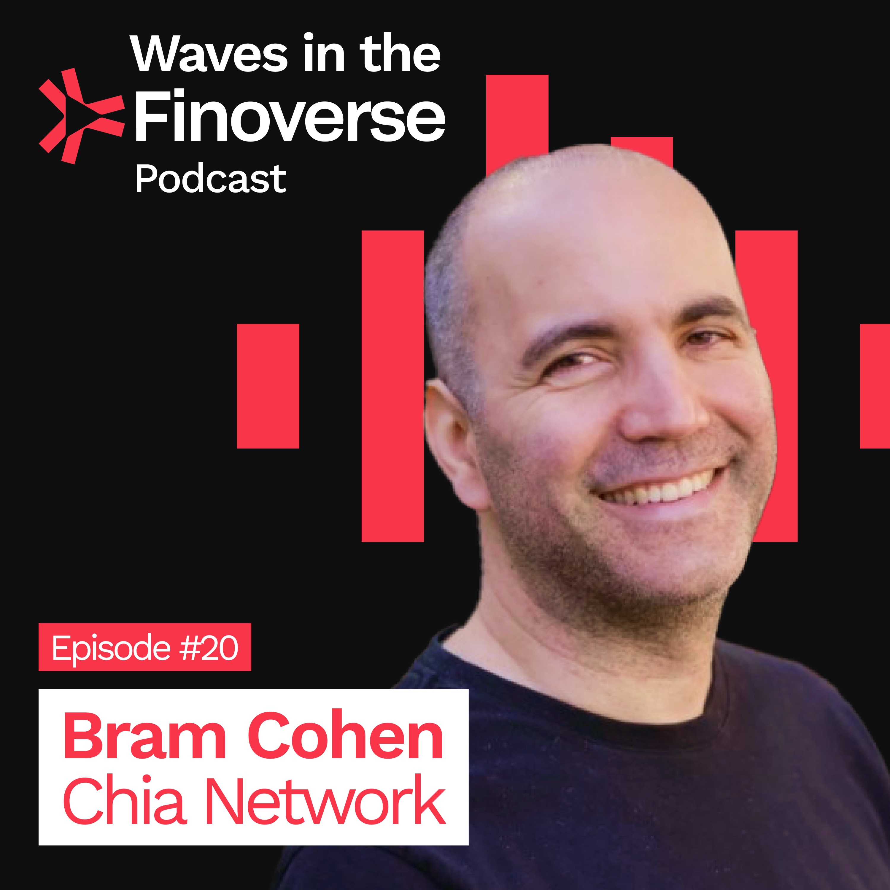 Waves in the Finoverse
