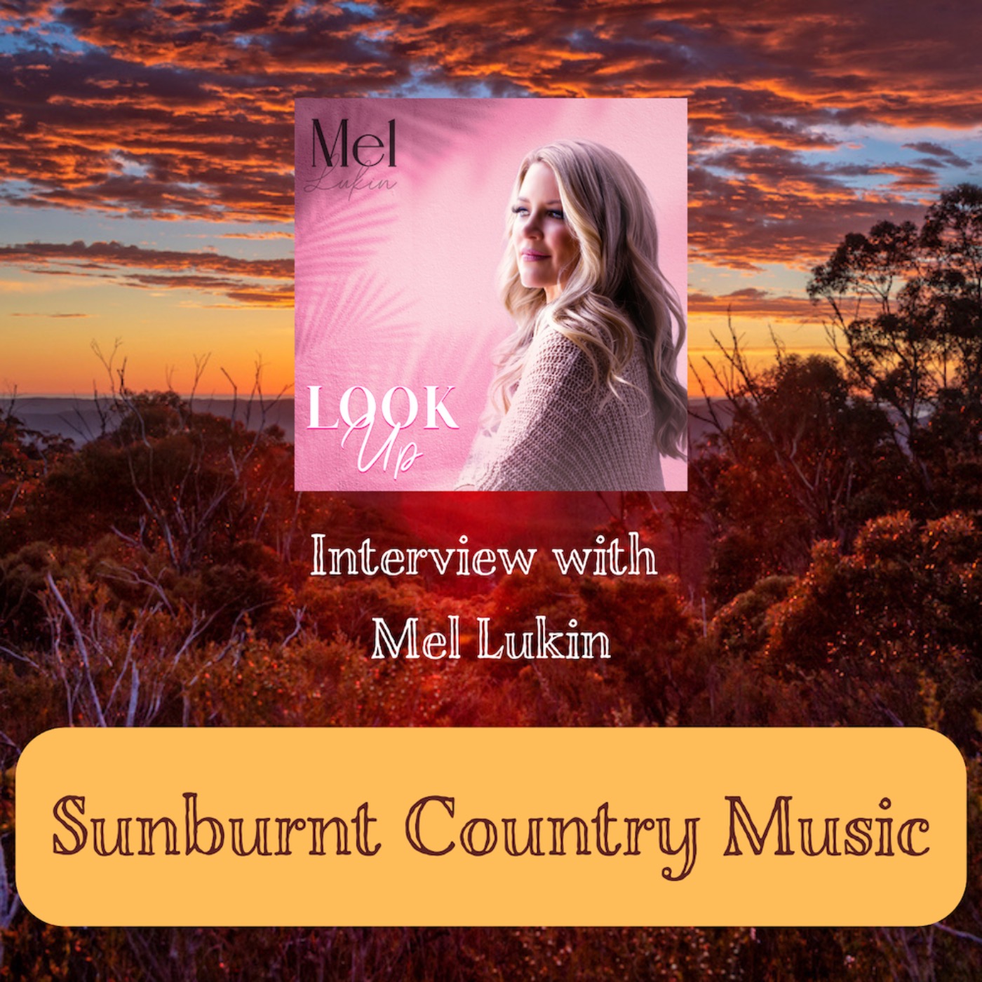 Interview with Mel Lukin