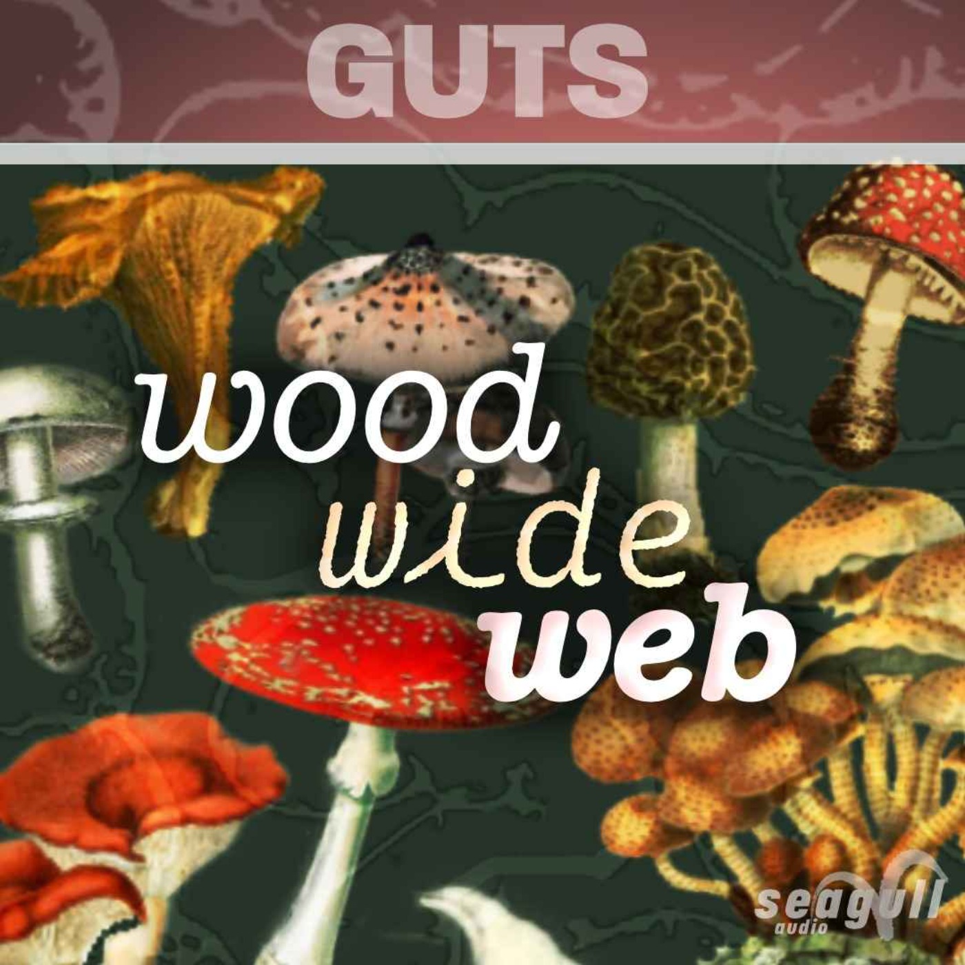 GUTS