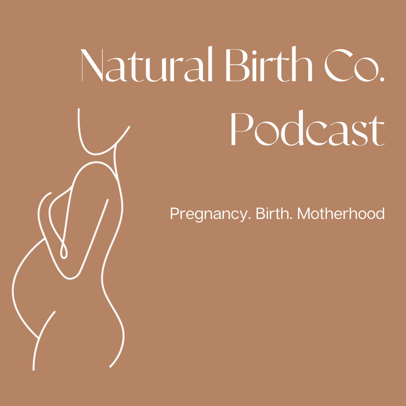 cover art for #65 Birth Preparation Options: Calm Birth? Hypnobirthing? Hospital-based Workshops? 