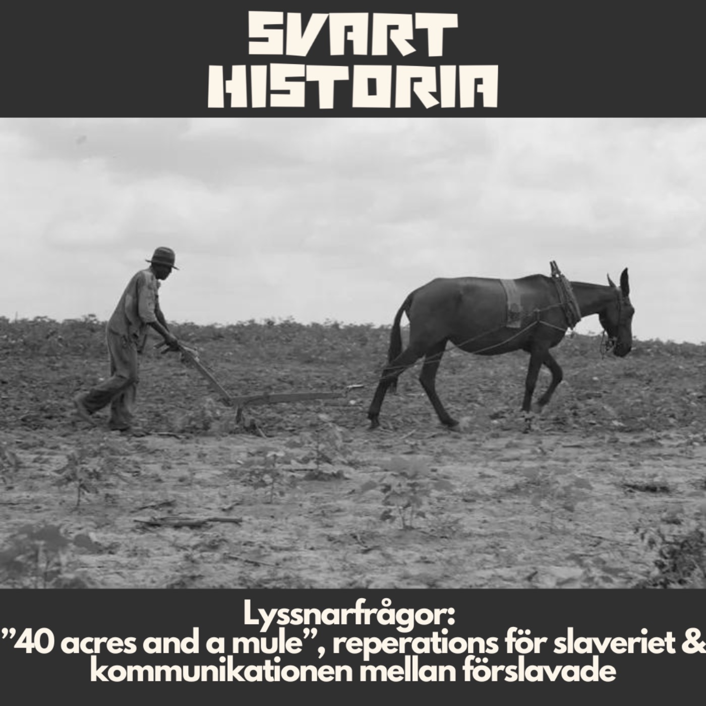 lyssnarfr-gor-40-acres-and-a-mule-reperations-f-r-slaveriet