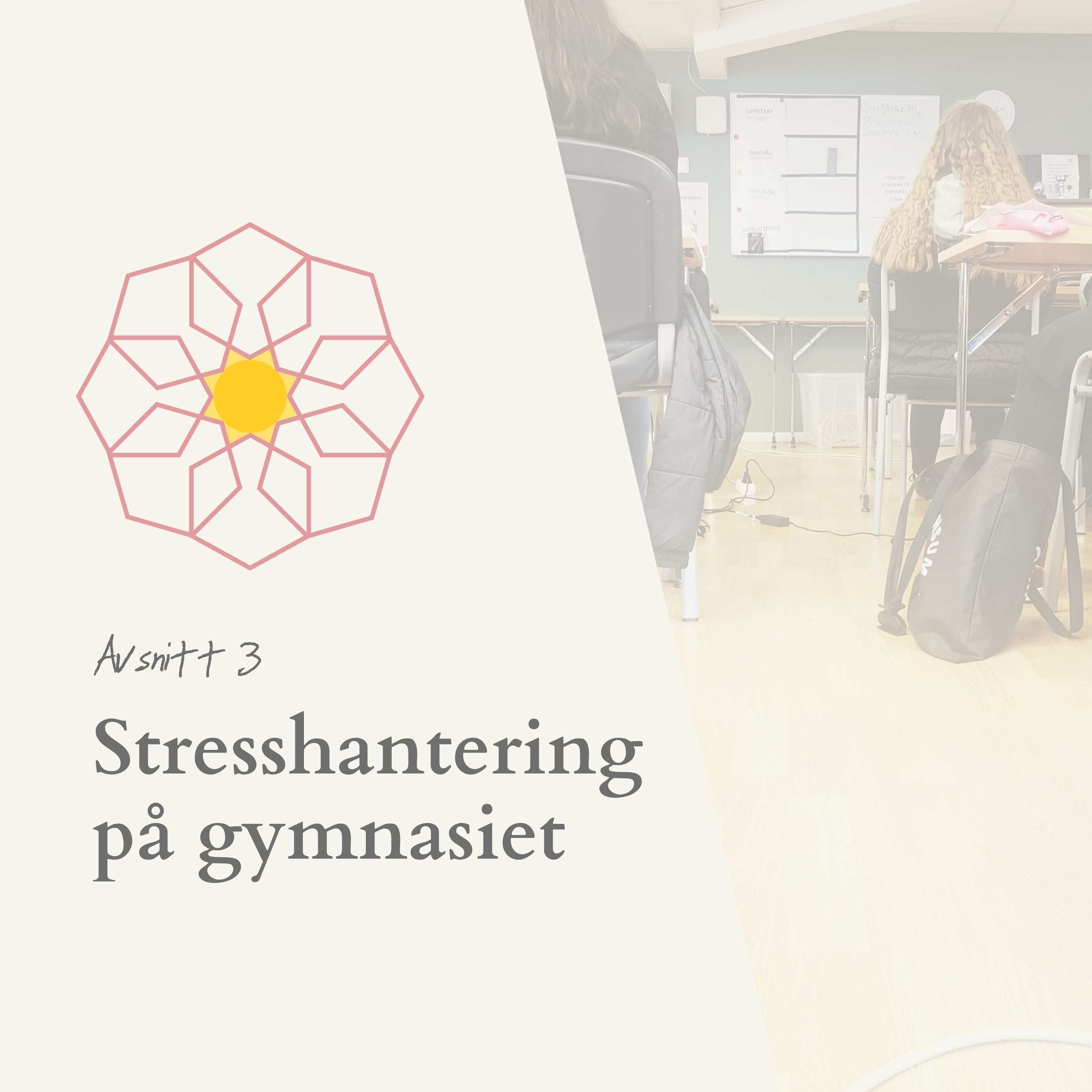 Stresshantering på gymnasiet episode artwork