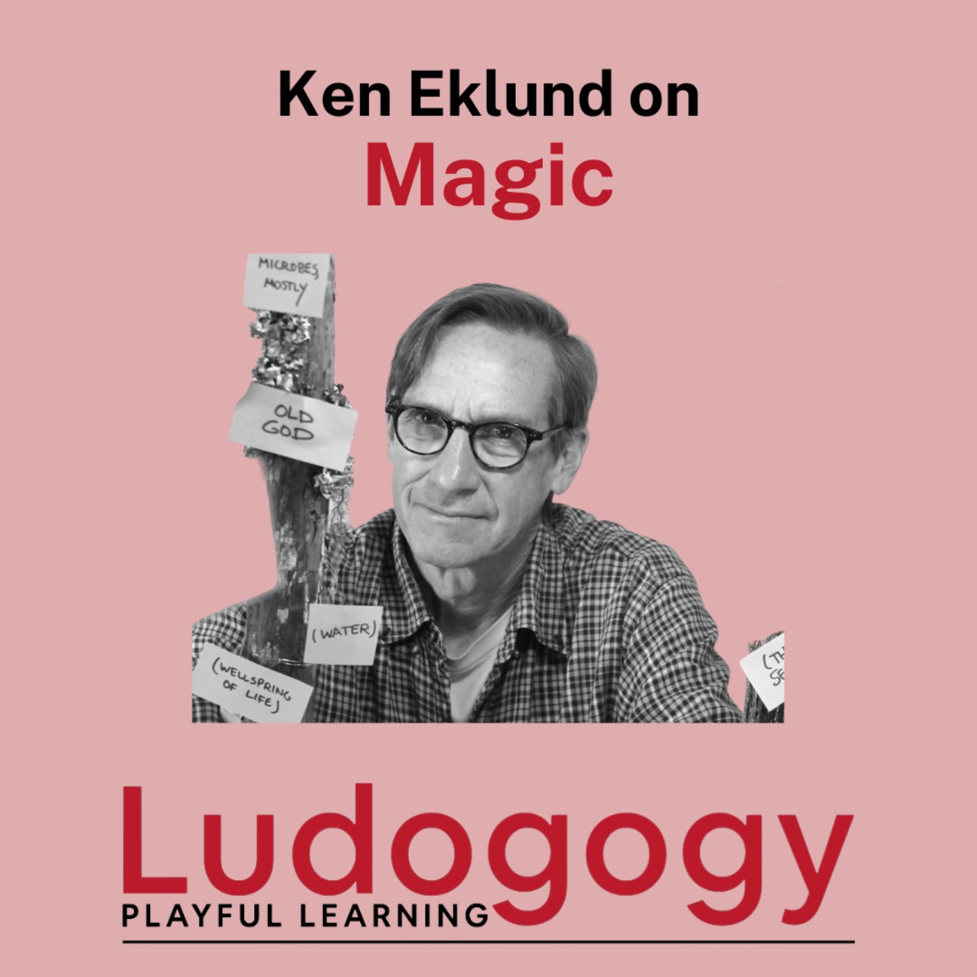 The Ludogogy Podcast