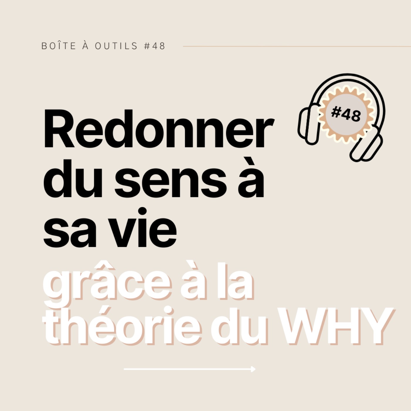#48 - Redonner du sens à sa vie grâce à la théorie du WHY.