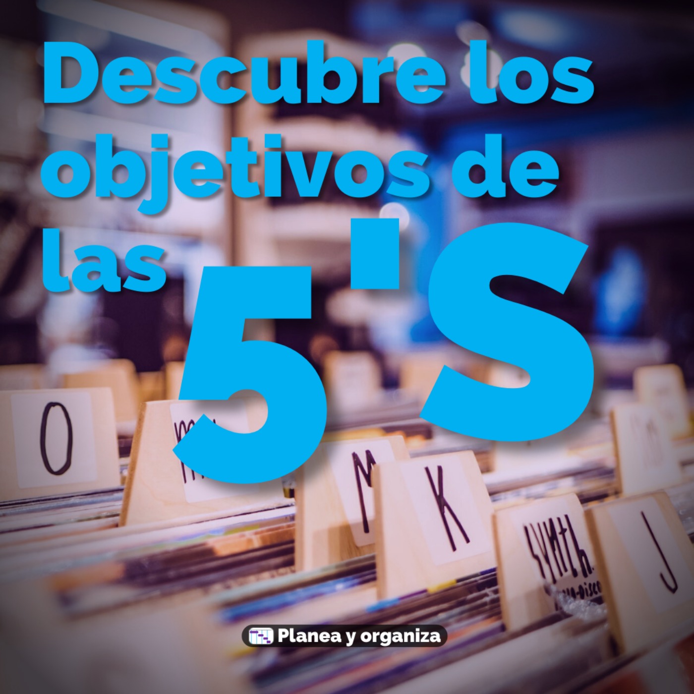 Planea y organiza