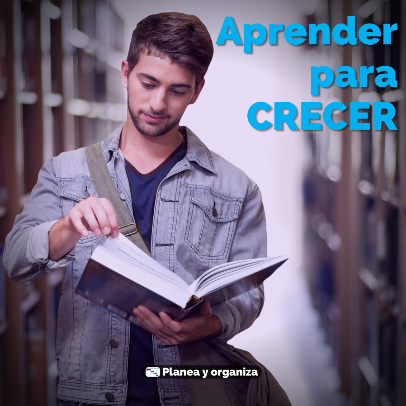 Planea y organiza