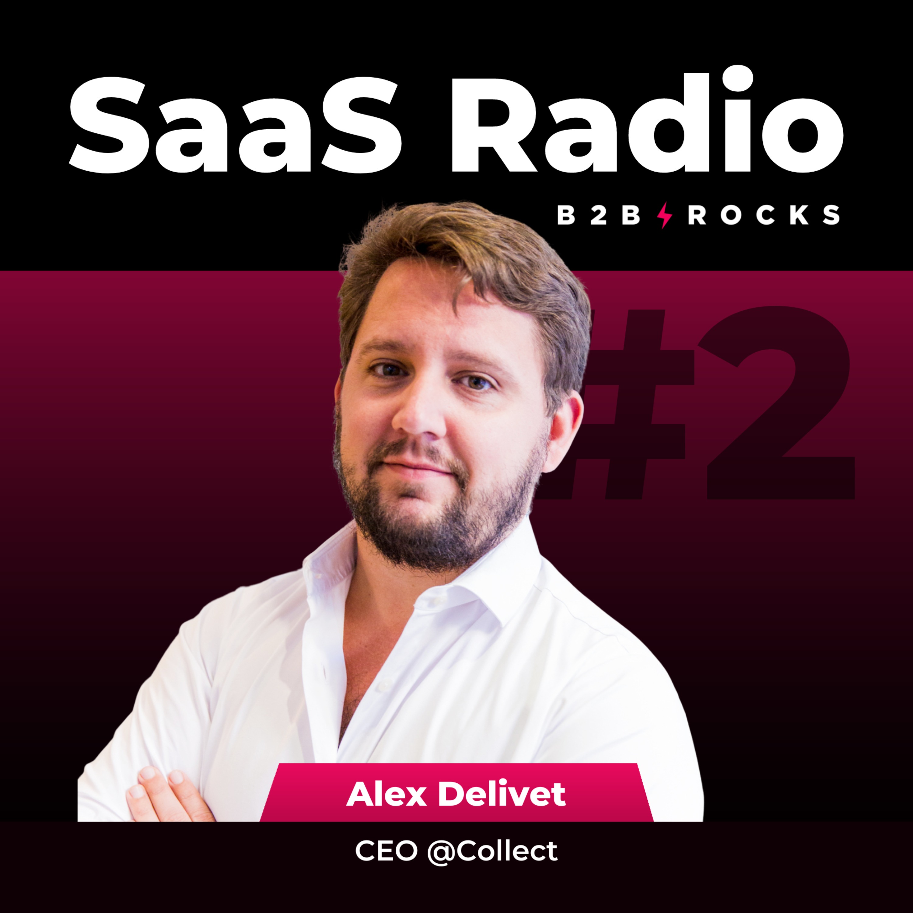 B2B Rocks SaaS Radio