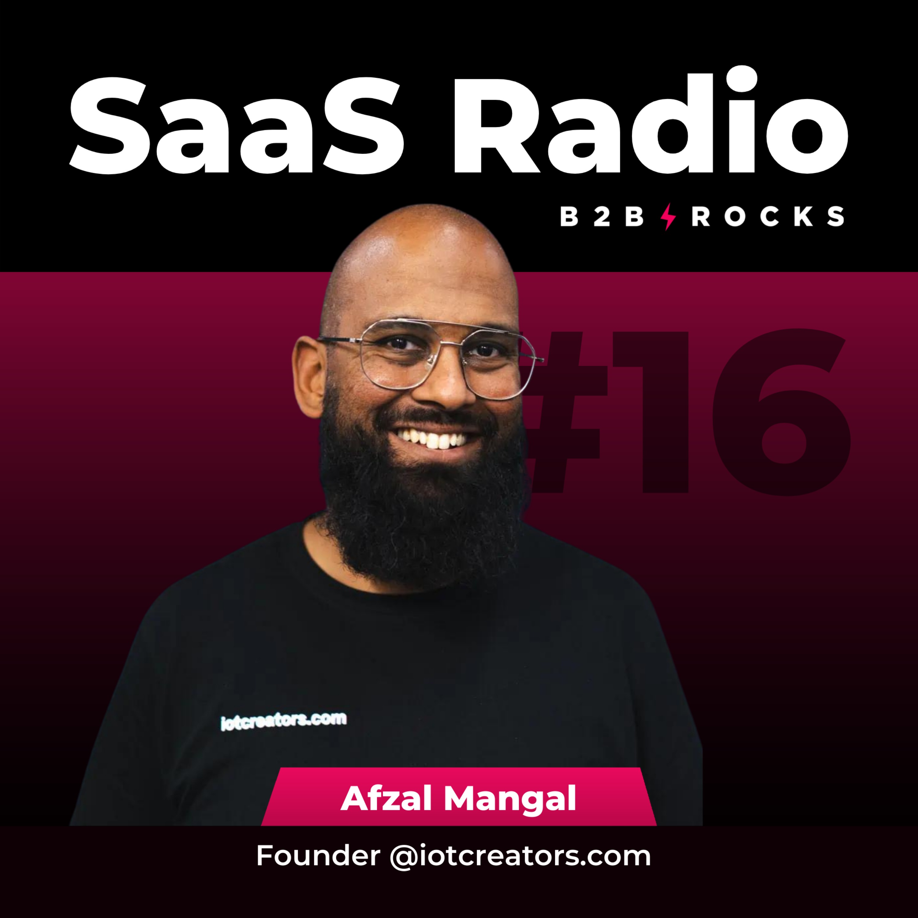 B2B Rocks SaaS Radio