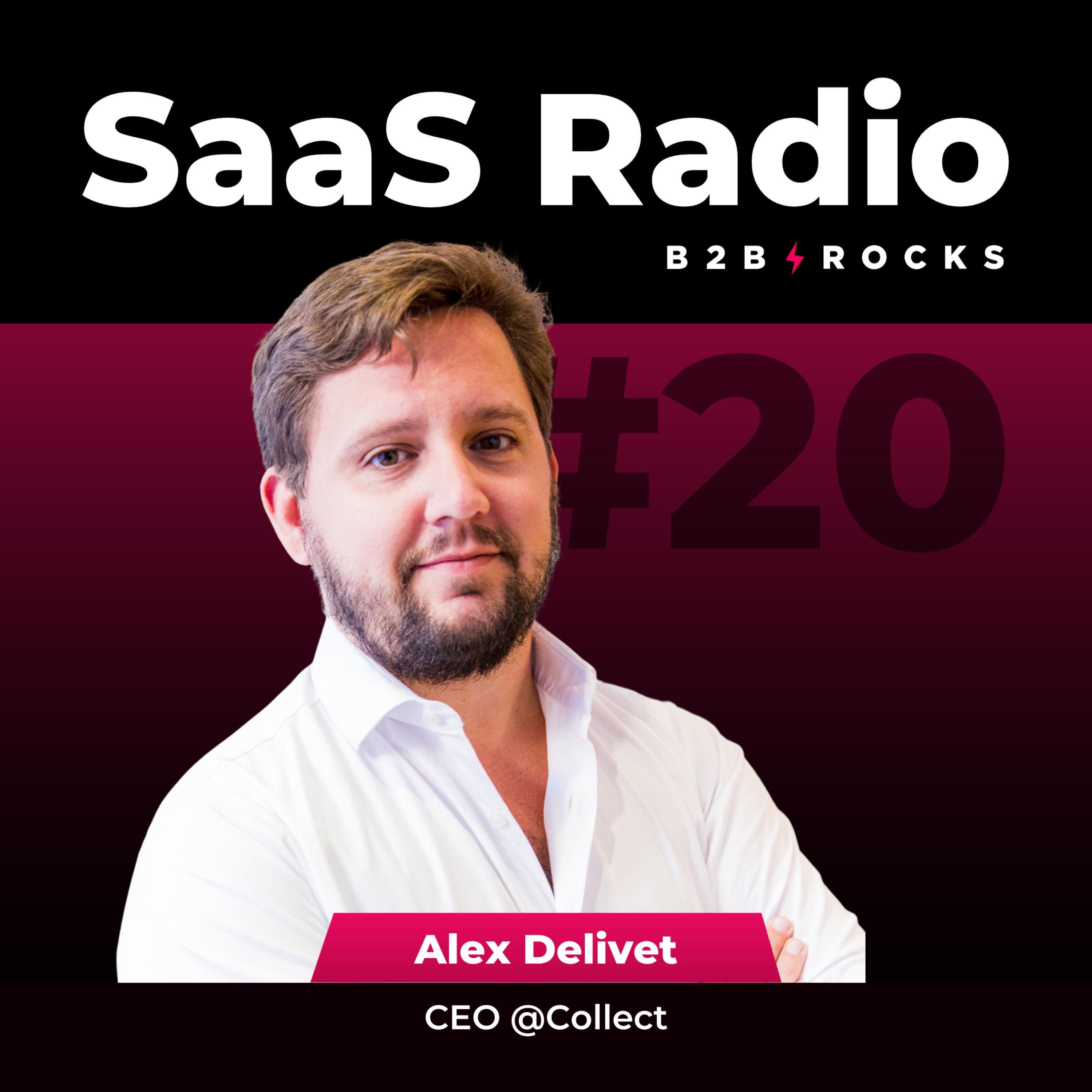 B2B Rocks SaaS Radio