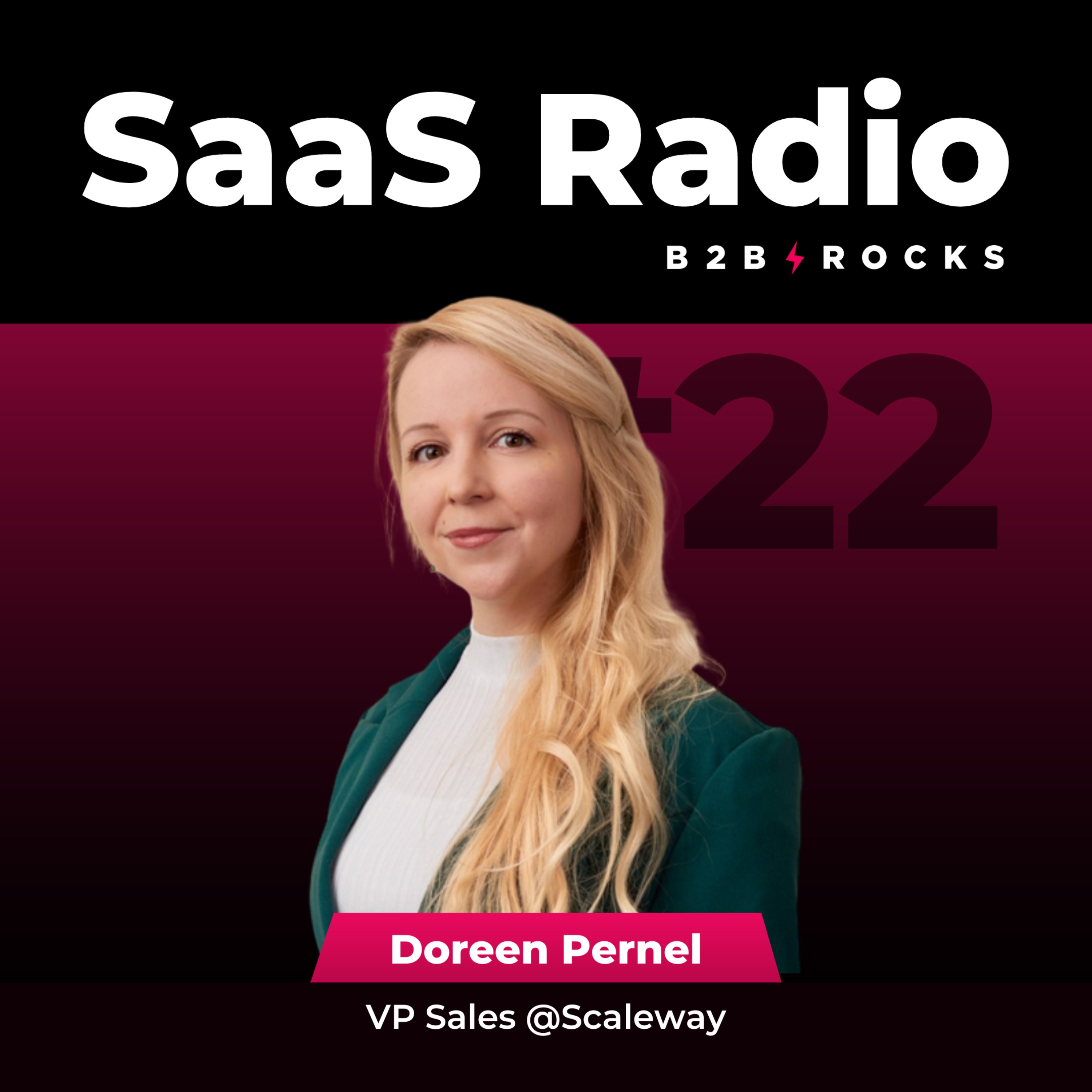 B2B Rocks SaaS Radio