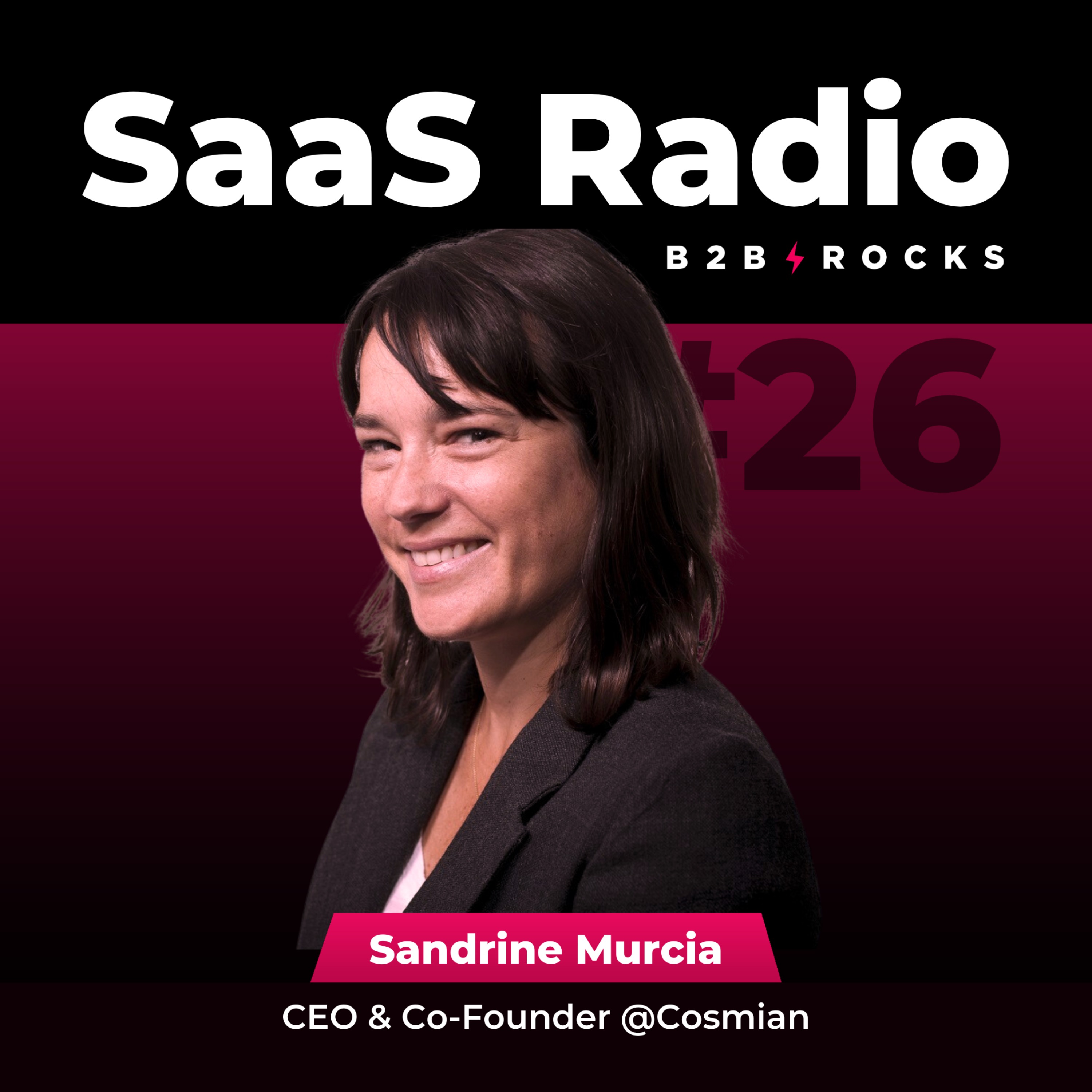 B2B Rocks SaaS Radio