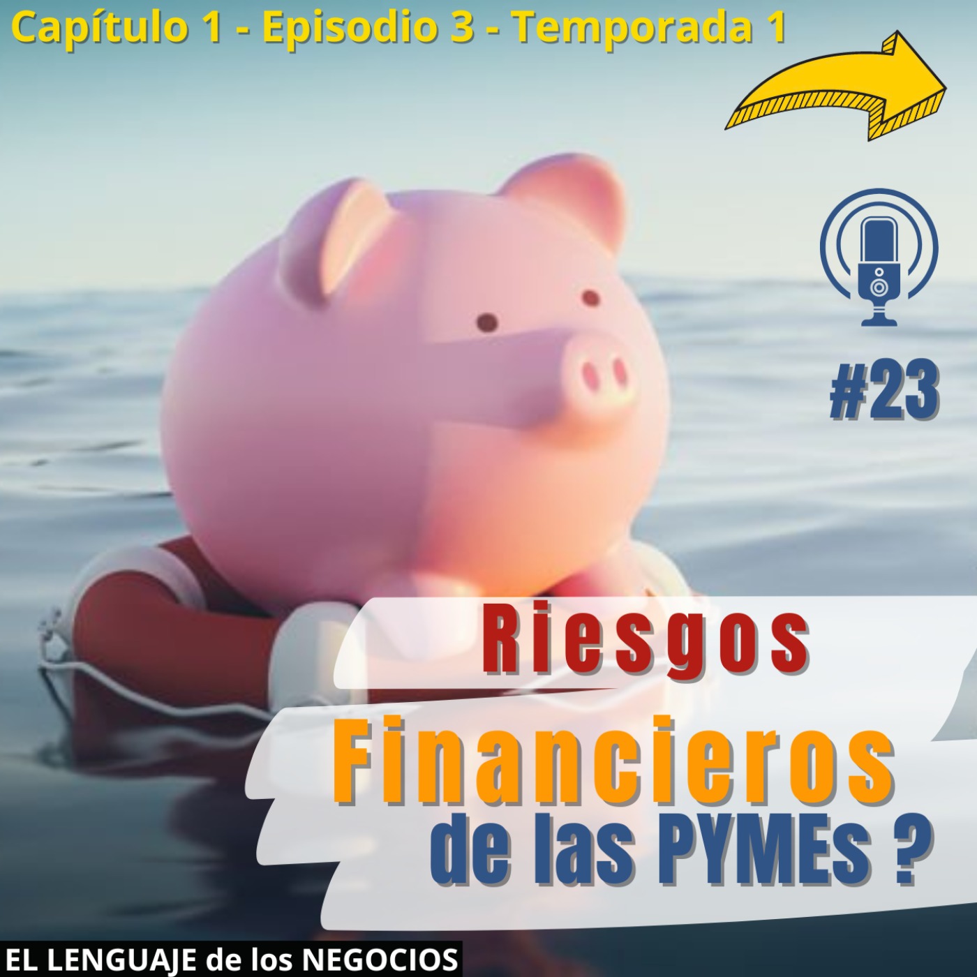 023 Riesgos financieros de las PYMEs