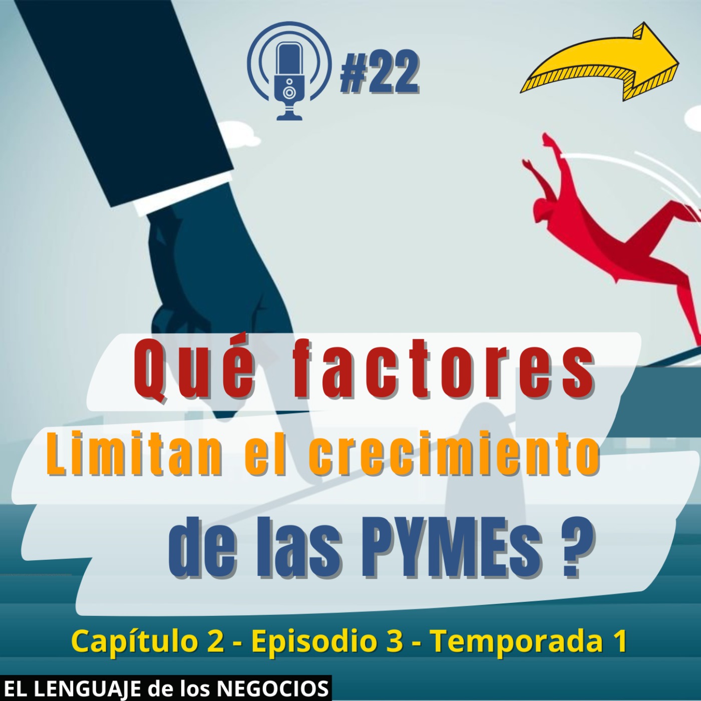 022 Qué factores limitan el crecimiento de las PYMEs