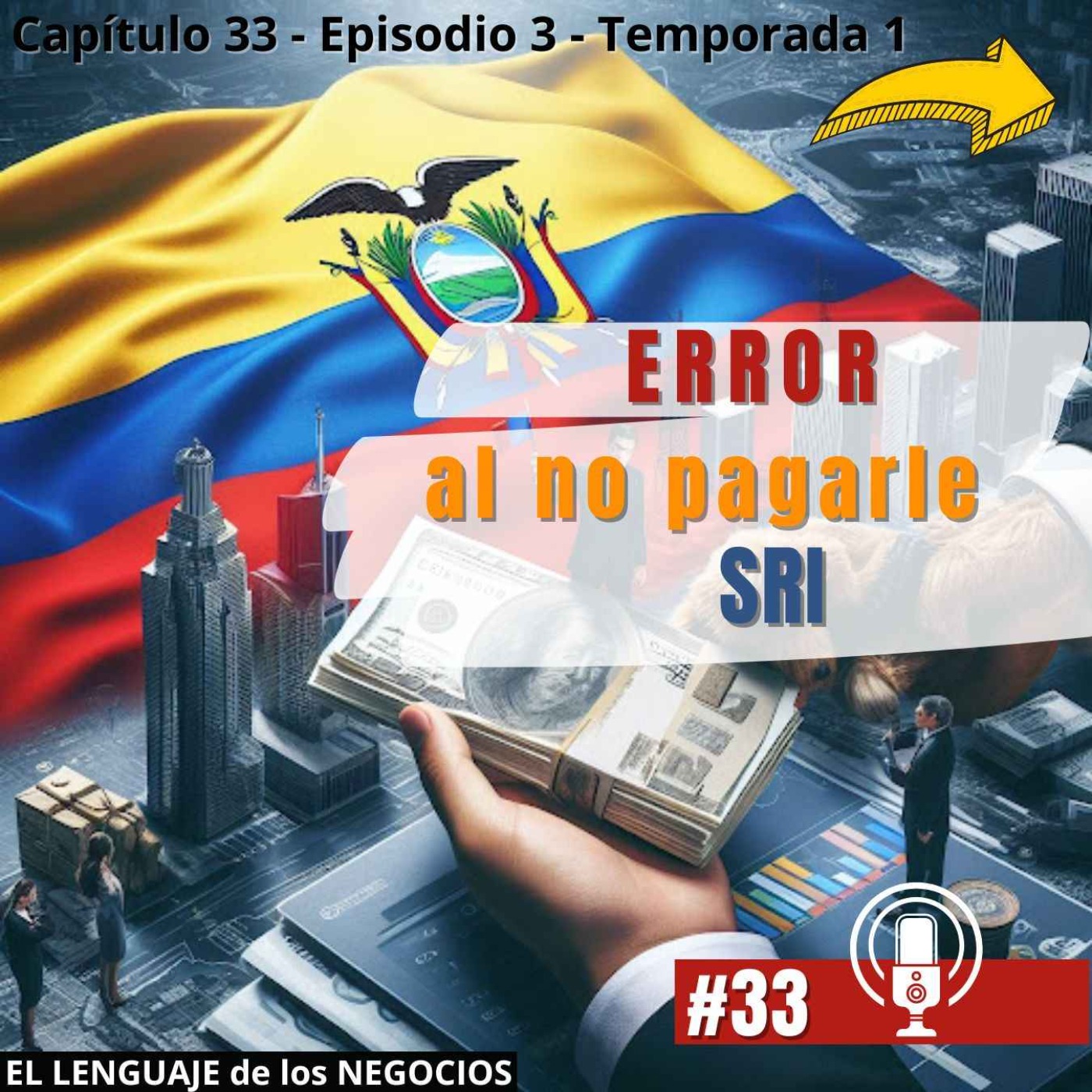 033 ERROR al no pagarle SRI episode artwork