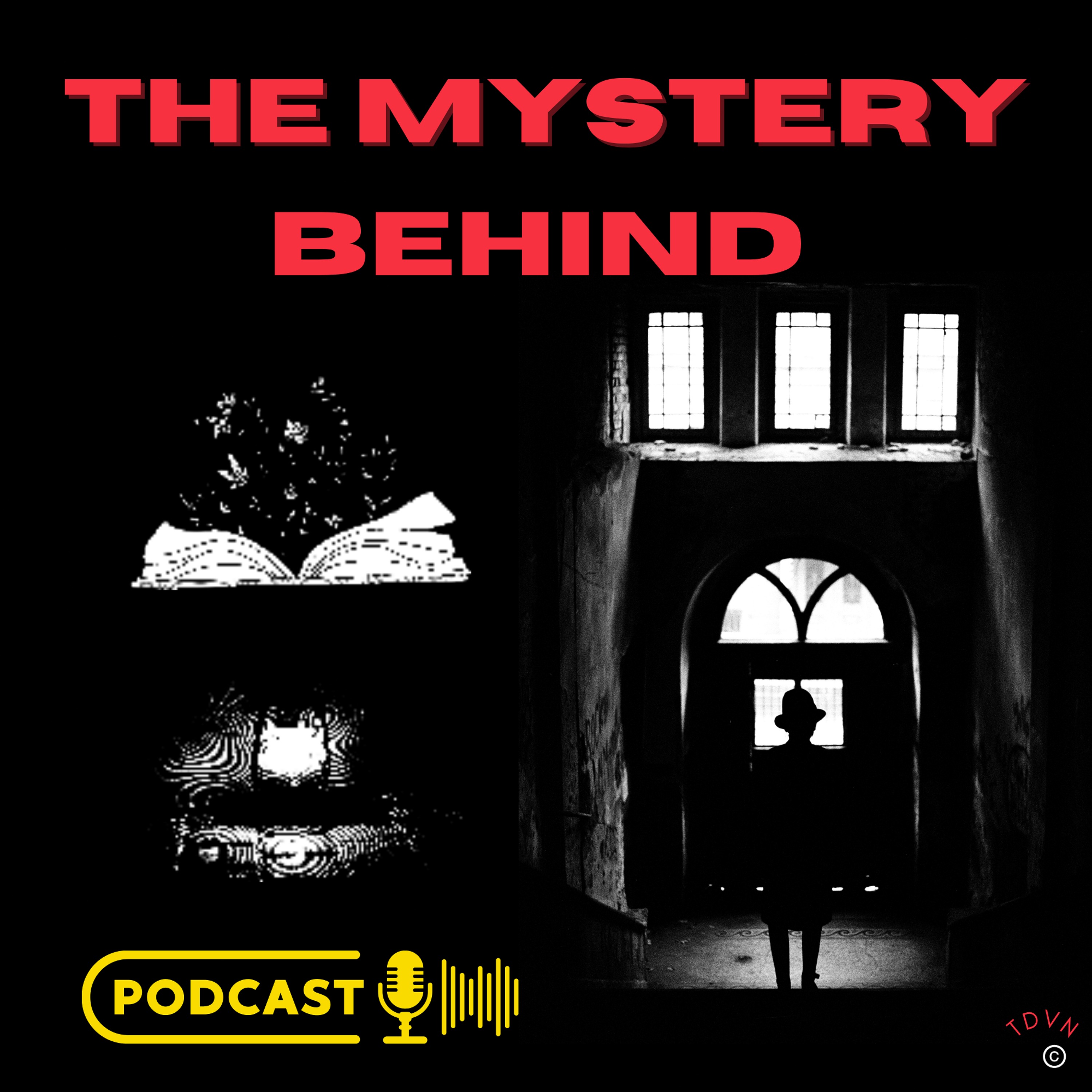 I'm feeling curious, are you? The Mystery behind of The Titanic-A Society and Culture Podcast Image