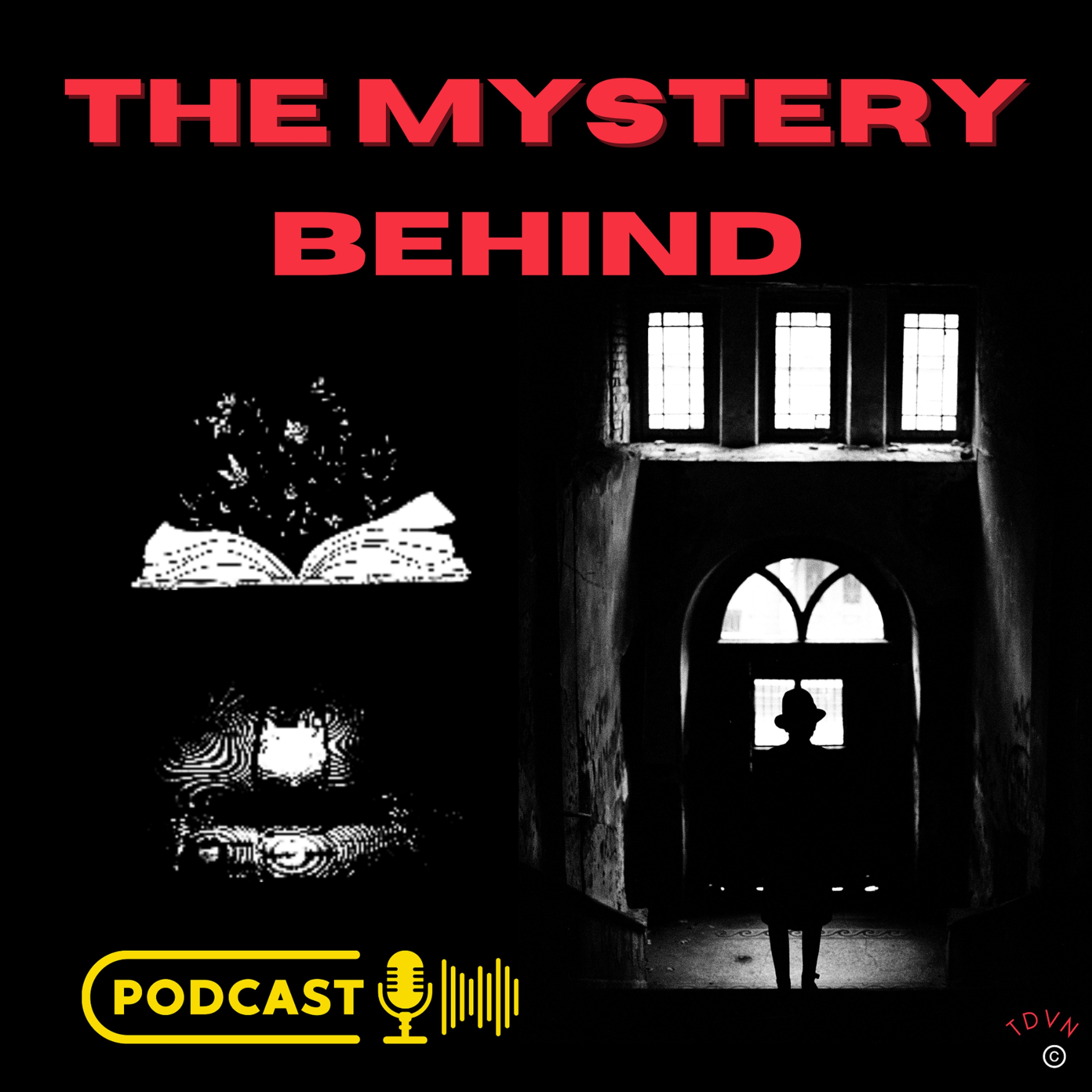 I'm feeling curious, are you?  The Mystery Behind a Society and Culture Podcast Image