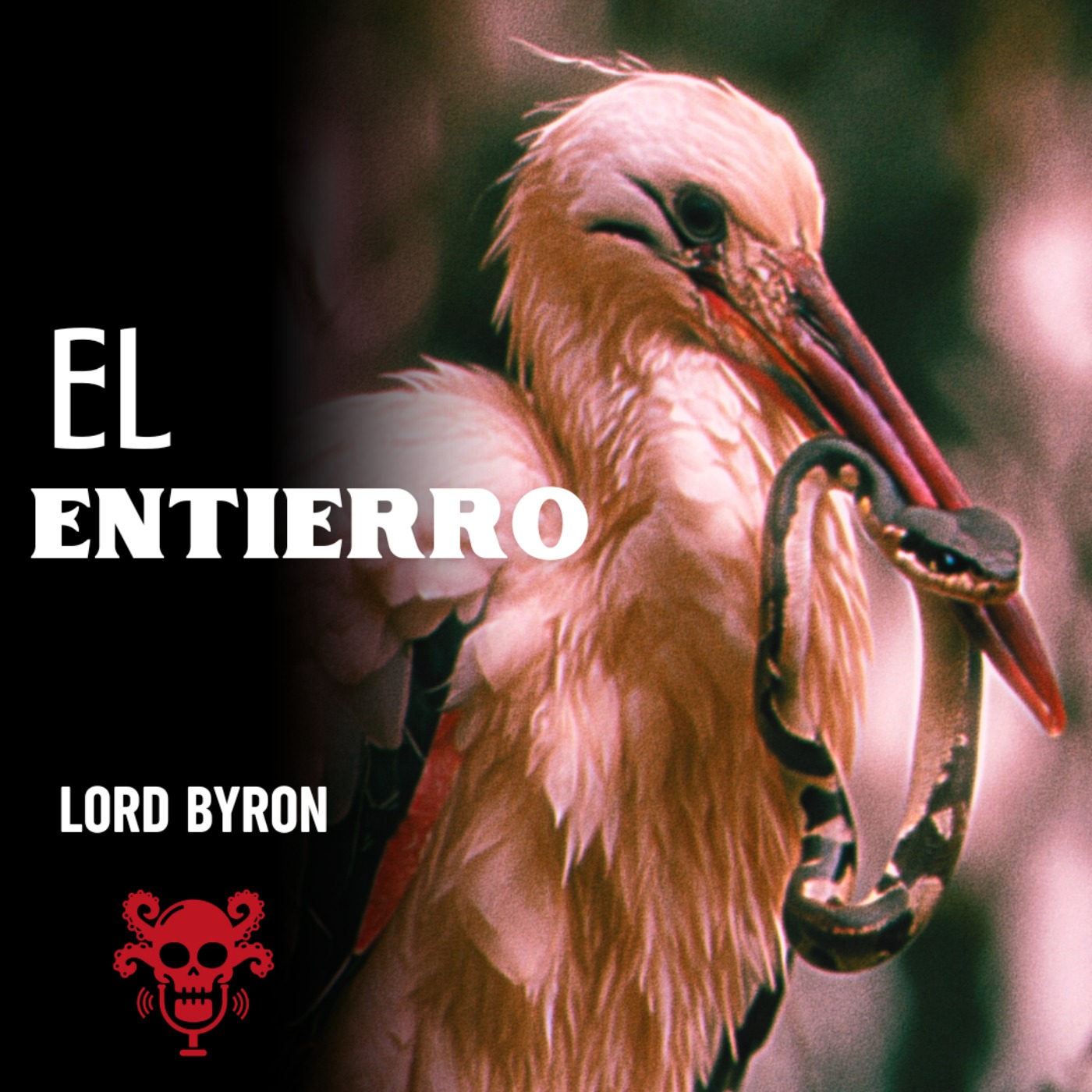 El Bazar De Los Tormentos