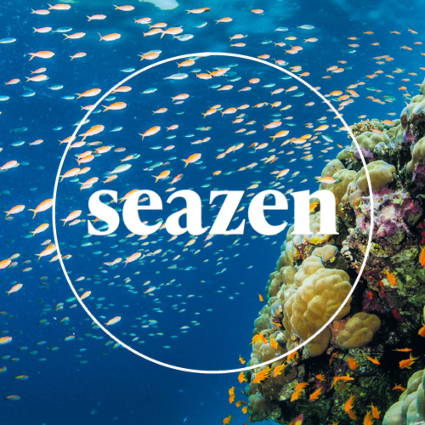Seazen Travel Podcast