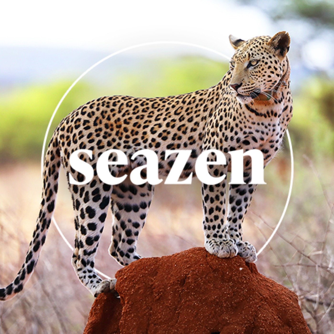 Seazen Travel Podcast