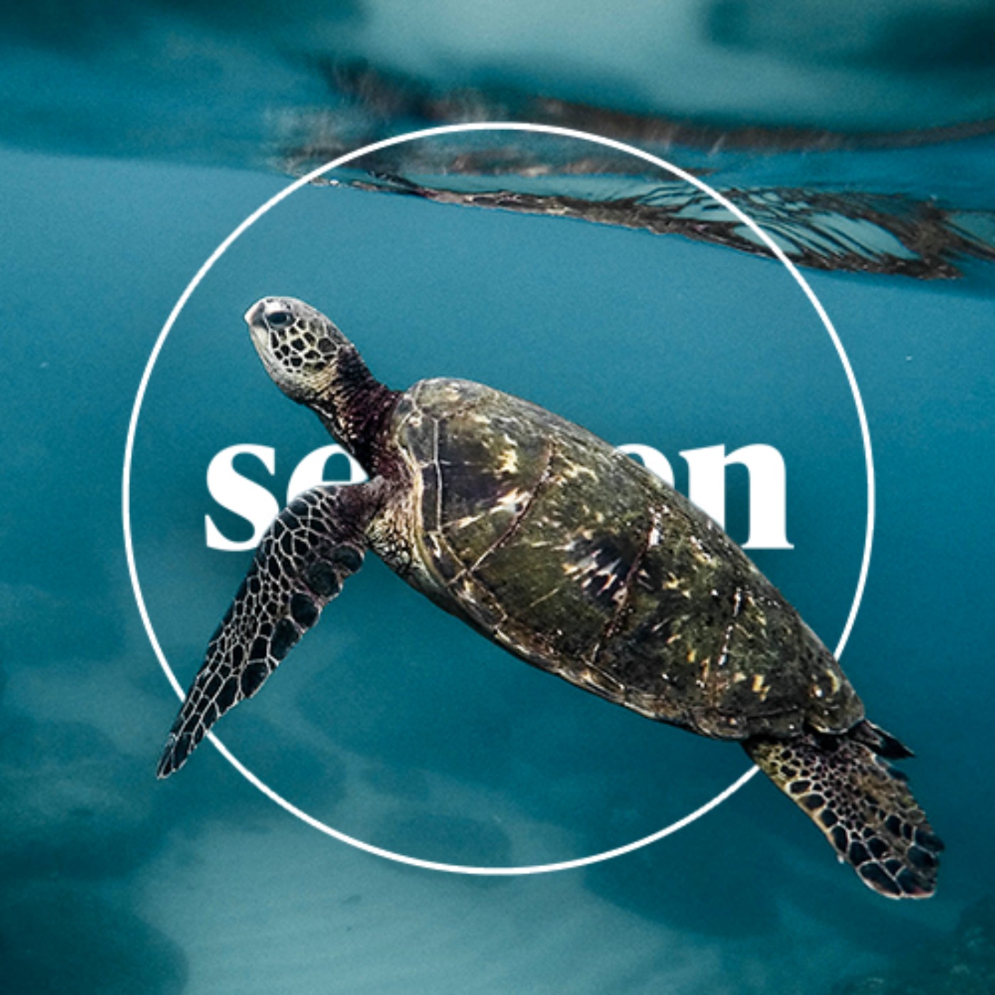 Seazen Travel Podcast