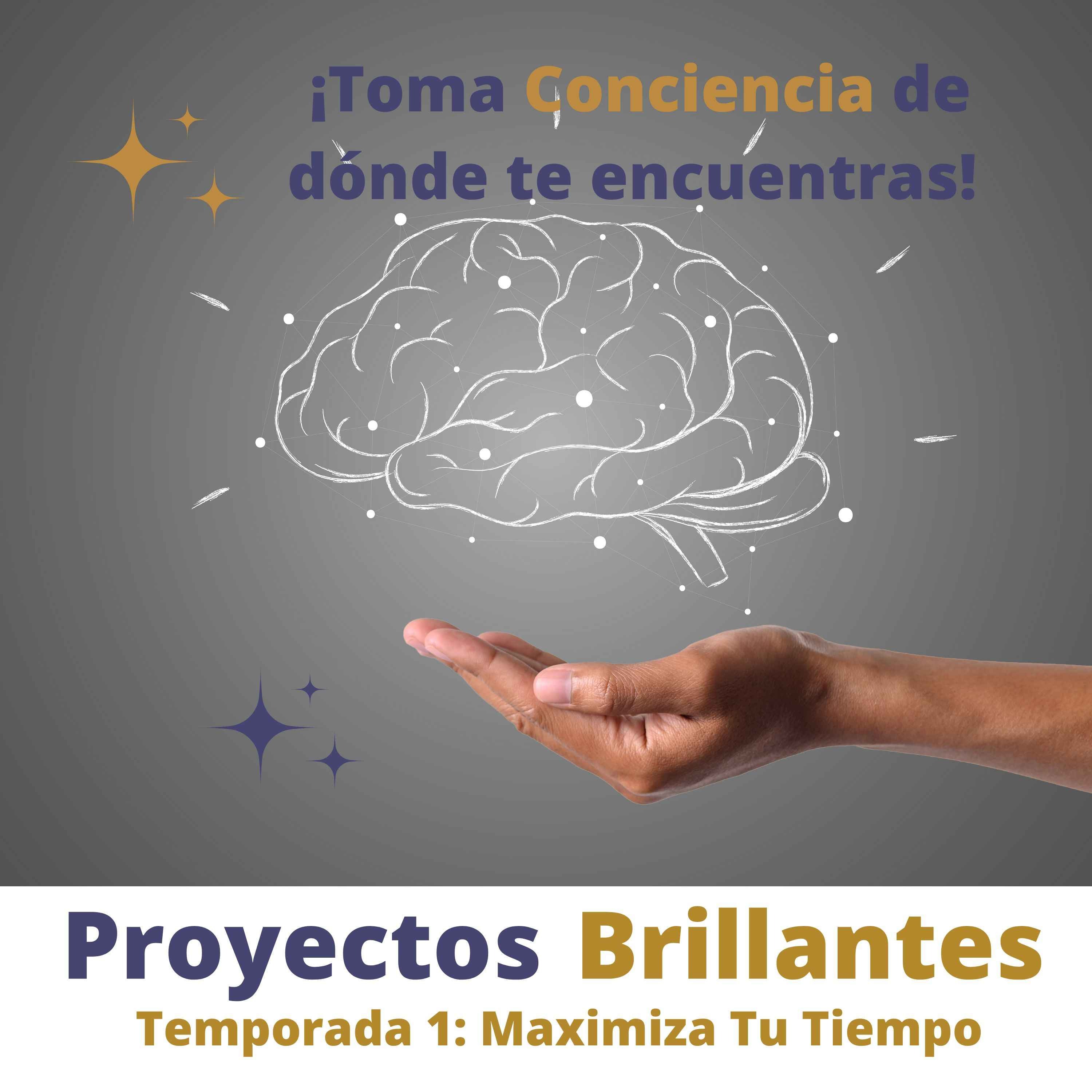 Proyectos Brillantes