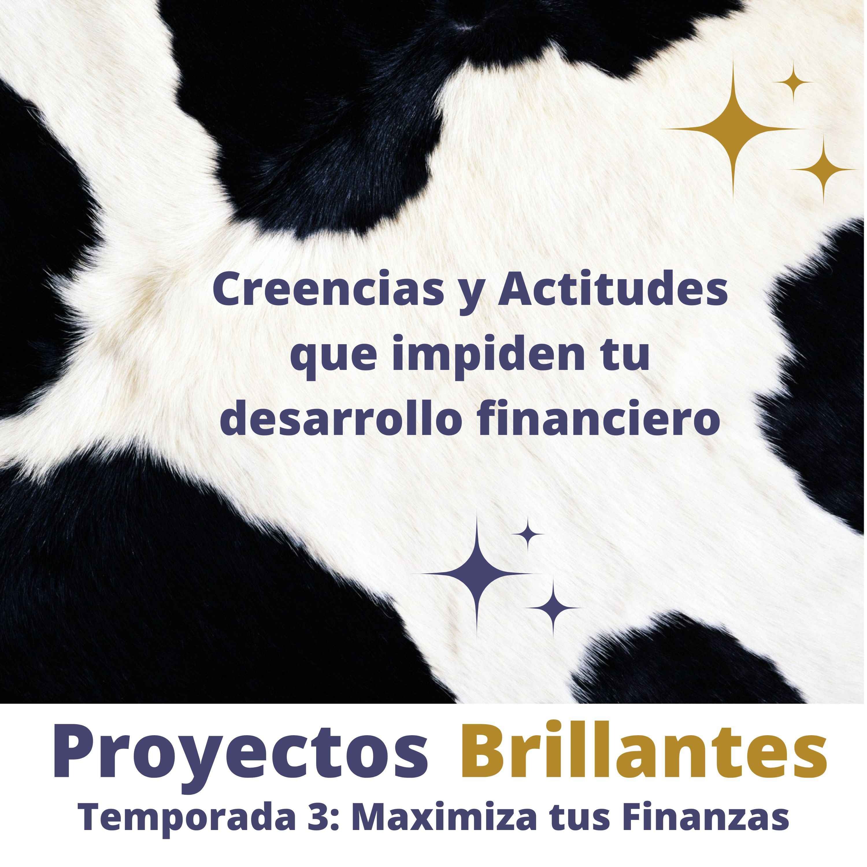 Proyectos Brillantes
