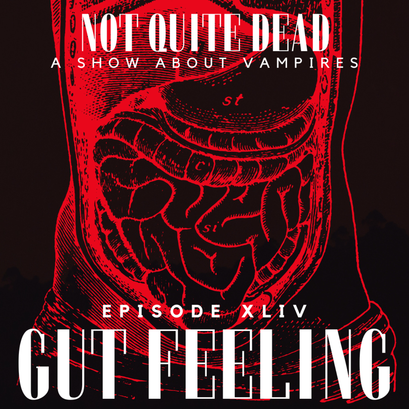 XLIV: Gut Feeling