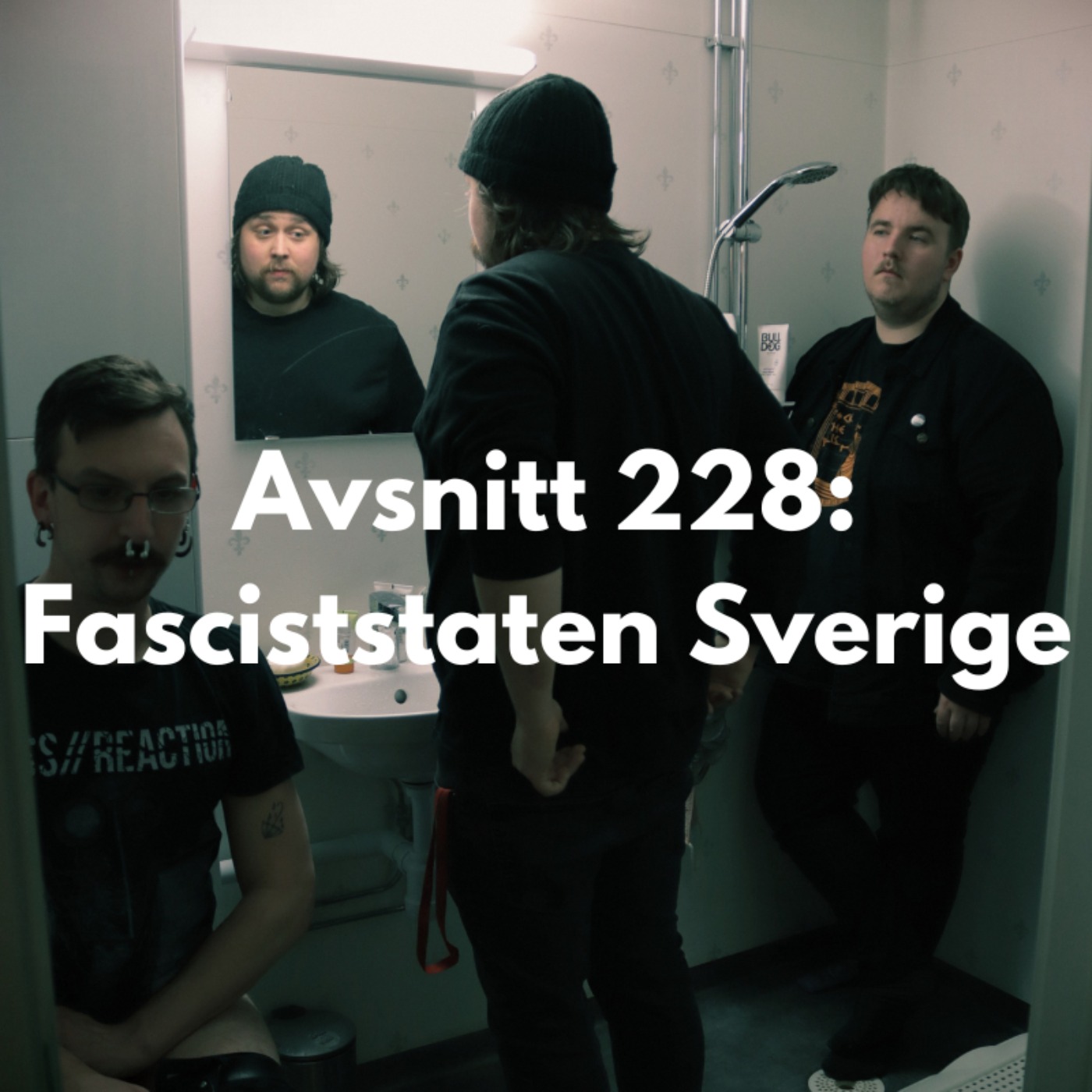Avsnitt 228: Fasciststaten Sverige