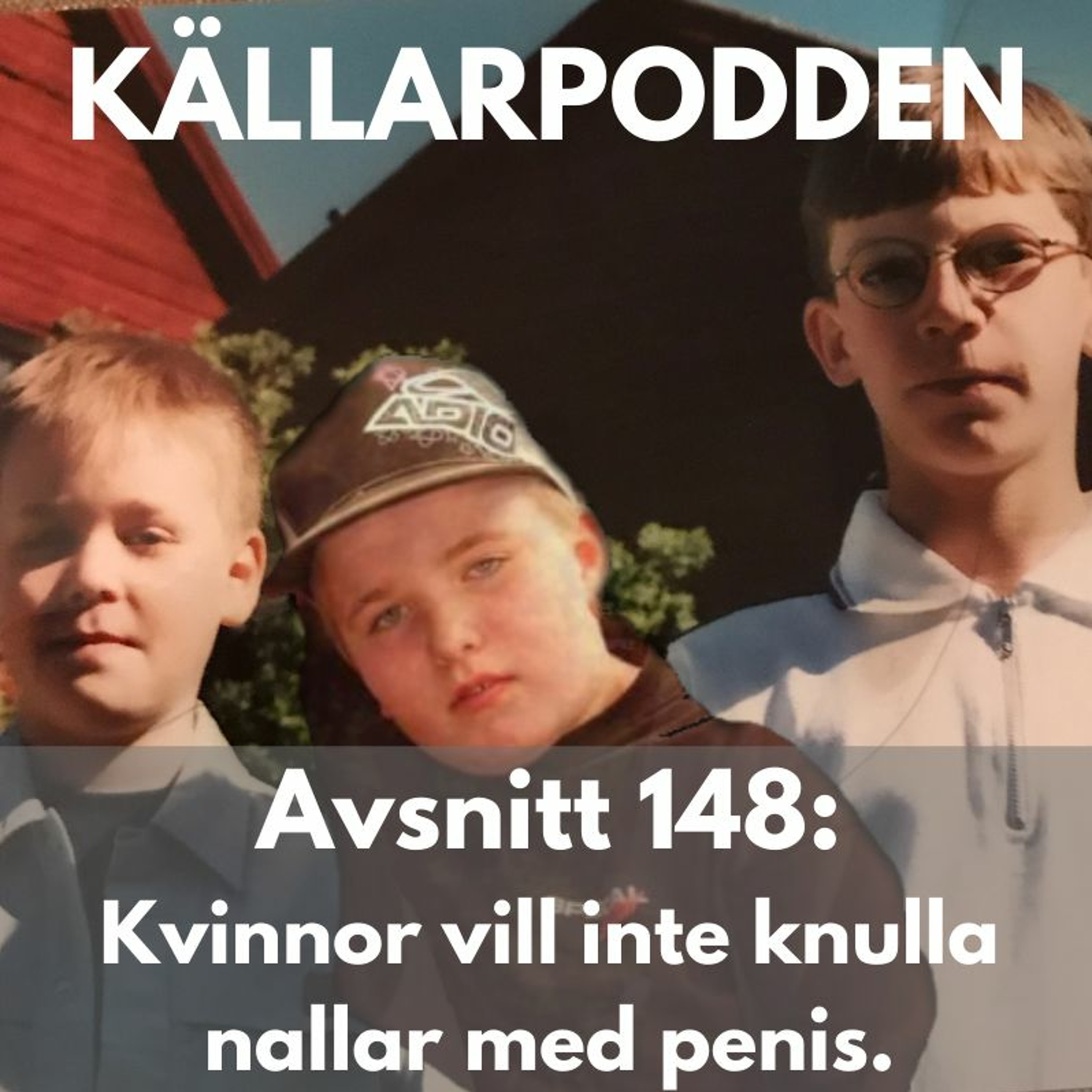 Avsnitt 148: Kvinnor vill inte knulla nallar med penis episode artwork