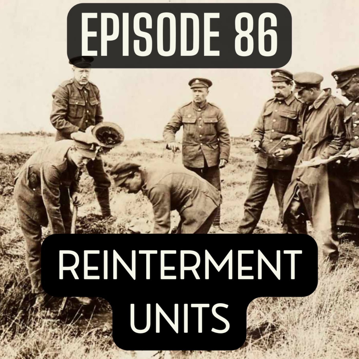 cover art for 86. Reinterment Units