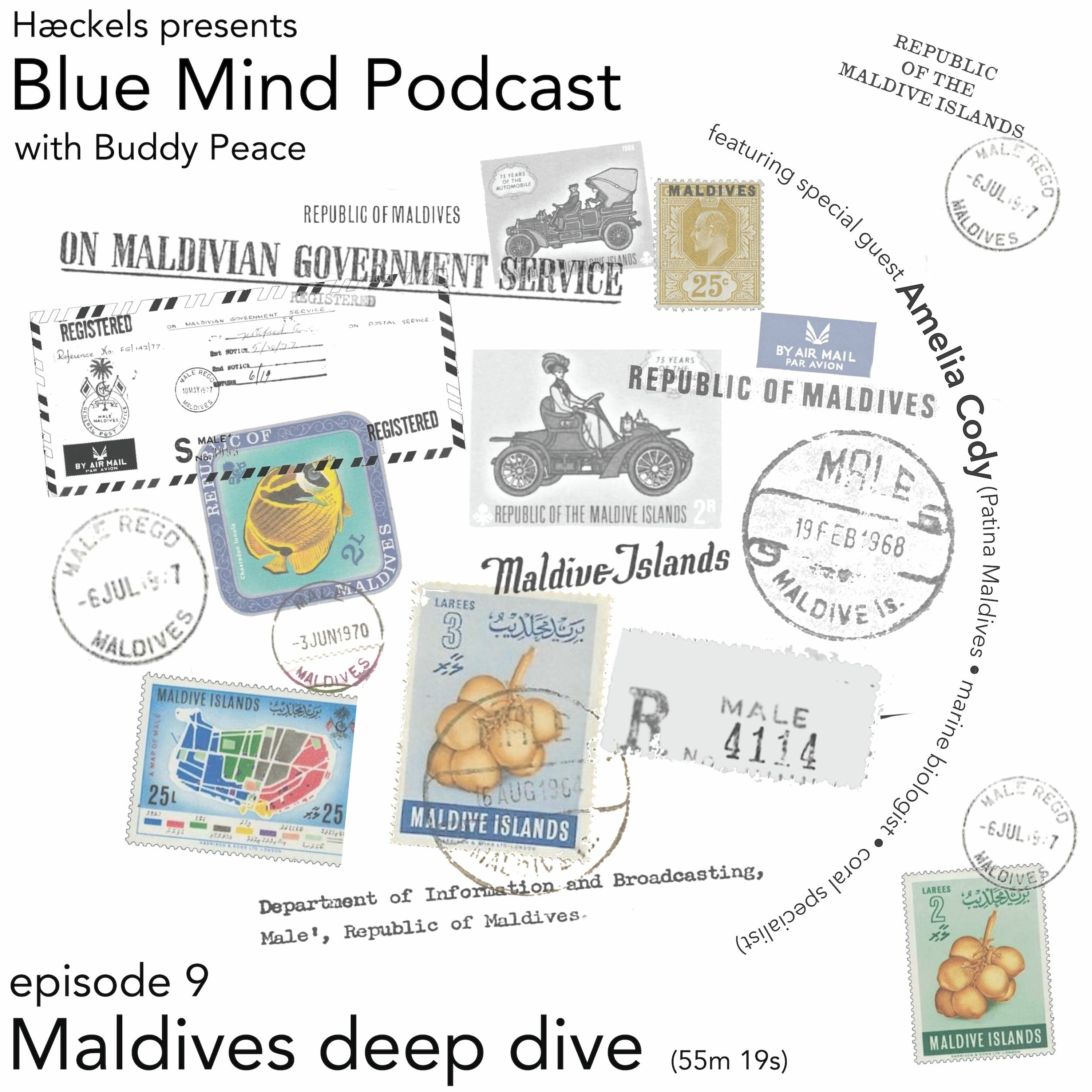 cover art for Blue Mind Podcast • Episode 9 • 'Maldives Deep Dive'