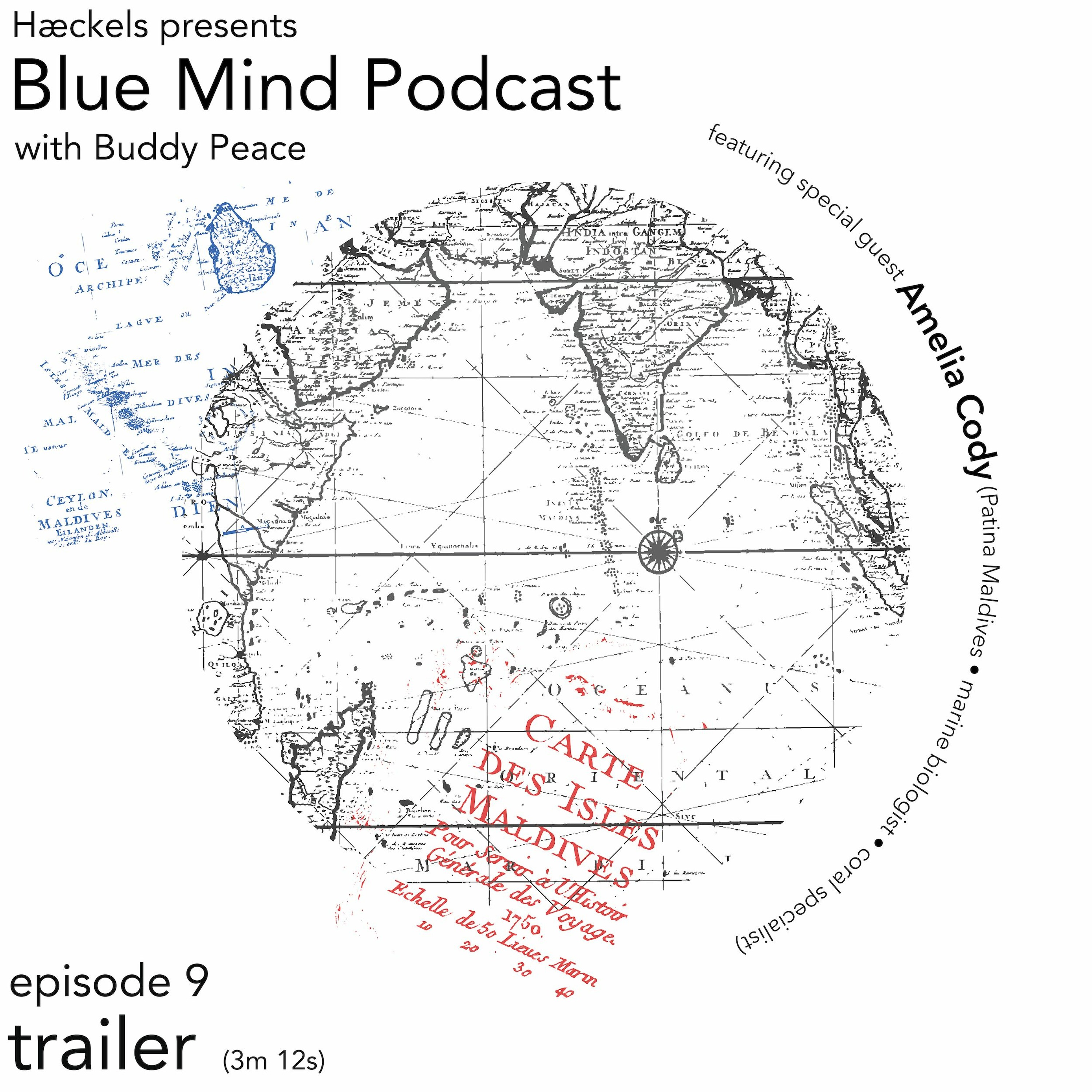 cover art for Blue Mind by Hæckels • Episode 9 Trailer