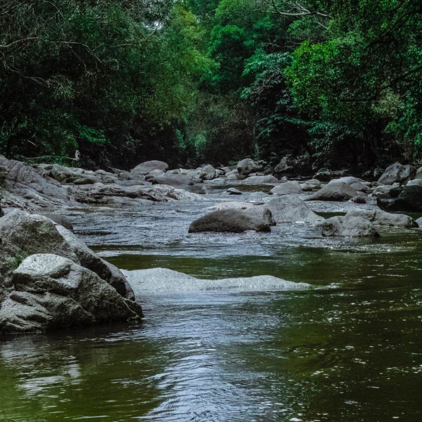 8 Hours of Active Small River Sounds for Relaxation